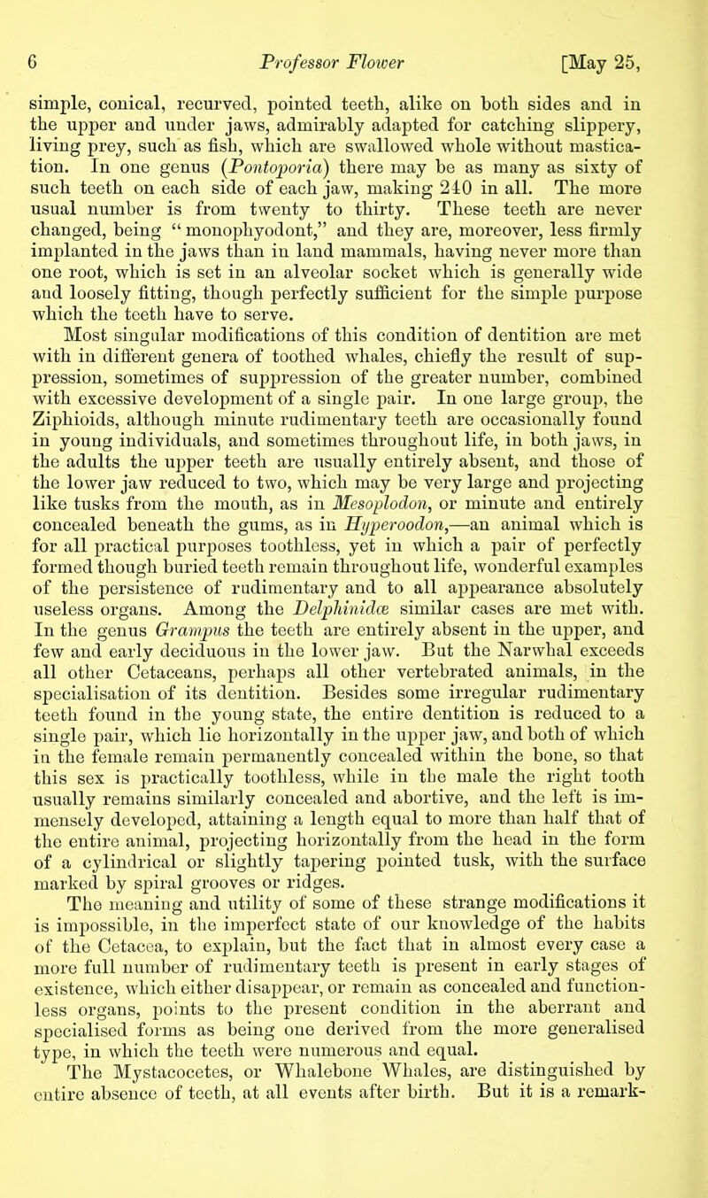 simple, conical, recurved, pointed teeth, alike on botli sides and in the upper and under jaws, admirably adapted for catching slippery, living prey, such as fish, which are swallowed whole without mastica- tion. In one genus (Pontoporia) there may be as many as sixty of such teeth on each side of each jaw, making 210 in all. The more usual number is from twenty to thirty. These teeth are never changed, being  monophyodont, and they are, moreover, less firmly implanted in the jaws than in land mammals, having never more than one root, which is set in an alveolar socket which is generally wide and loosely fitting, though perfectly sufficient for the simple purpose which the teeth have to serve. Most singular modifications of this condition of dentition are met with in difi'erent genera of toothed whales, chiefly the result of sup- pression, sometimes of suppression of the greater number, combined with excessive development of a single pair. In one large group, the Ziphioids, although minute rudimentary teeth are occasionally found in young individuals, and sometimes throughout life, in both jaws, in the adults the upper teeth are usually entirely absent, and those of the lower jaw reduced to two, which may be very large and px-ojecting like tusks from the mouth, as in Mesoplodon, or minute and entirely concealed beneath the gums, as in Hijperoodon,—an animal which is for all practical purposes toothless, yet in which a pair of perfectly formed though buried teeth remain throughout life, wonderful examples of the persistence of rudimentary and to all ajjpearance absolutely useless organs. Among the Delphinidce similar cases are met with. In the genus Orampus the teeth are entirely absent in the upper, and few and early deciduous in the lower jaw. But the Narwhal exceeds all other Cetaceans, perhaps all other vertebrated animals, in the specialisation of its dentition. Besides some irregular rudimentary teeth found in the young state, the entire dentition is reduced to a single pair, which lie horizontally in the upper jaw, and both of which in the female remain permanently concealed within the bone, so that this sex is practically toothless, while in the male the right tooth usually remains similarly concealed and abortive, and the left is im- mensely developed, attaining a length equal to more than half that of the entire animal, projecting horizontally from the head in the form of a cylindrical or slightly tapering pointed tusk, with the surface marked by spiral grooves or ridges. The meaning and utility of some of these strange modifications it is impossible, in the imperfect state of our knowledge of the habits of the Cetacea, to explain, but the fact that in almost every case a more full number of riidimentary teeth is present in early stages of existence, which either disappear, or remain as concealed and function- less organs, points to the present condition in the aberrant and specialised forms as being one derived from the more generalised type, in which the teeth were numerous and equal. The Mystacocetes, or Whalebone Whales, are distinguished by entire absence of teeth, at all events after birth. But it is a remark-
