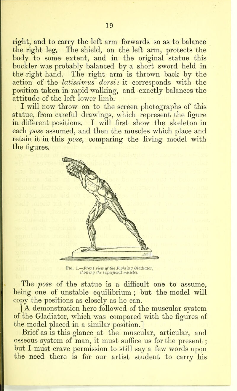 right, and to carry the left arm forwards so as to balance the right leg. The shield, on the left arm, protects the body to some extent, and in the original statue this buckler was probably balanced by a short sword held in the right hand. The right arm is thrown back by the action of the latissiwus dor si: it corresponds with the position taken in rapid walking, and exactly balances the attitude of the left lower limb, I wall now throw on to the screen photographs of this statue, from careful drawings, which represent the figure in different positions. I will first show the skeleton in each pose assumed, and then the muscles which place and retain it in this pose, comparing the living model with the figures. Fig. 1.—Front vino qf the Fighting Gladiator, showing the swperficial muscles. . The pose of the statue is a difficult one to assume, being one of unstable equiUbrium ; but the model will copy the positions as closely as he can. 1 A demonstration here followed of the muscular system of the Gladiator, which w^as compared with the figures of the model placed in a similar position.] Brief as is this glance at the muscular, articular, and osseous system of man, it must suffice us for the present ; but I must crave permission to still say a few words upon the need there is for our artist student to carry his