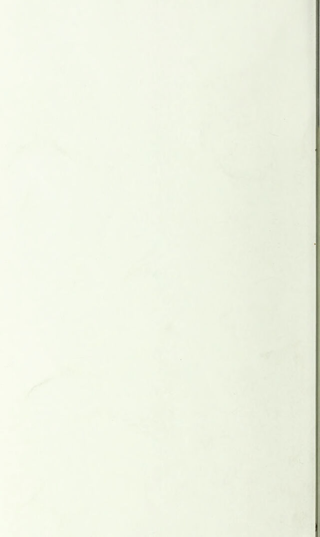 digitised image 2