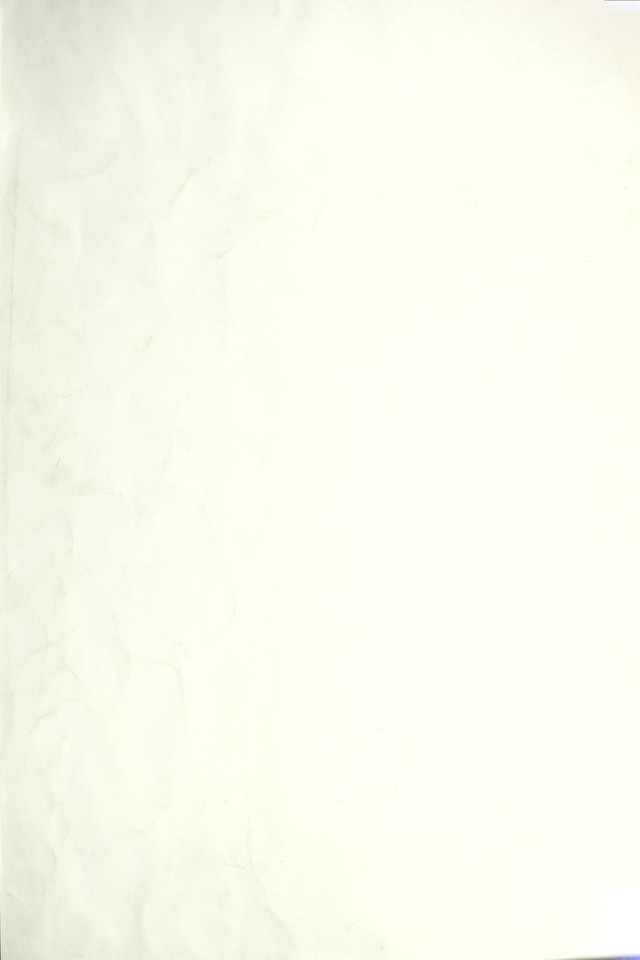 digitised image 1