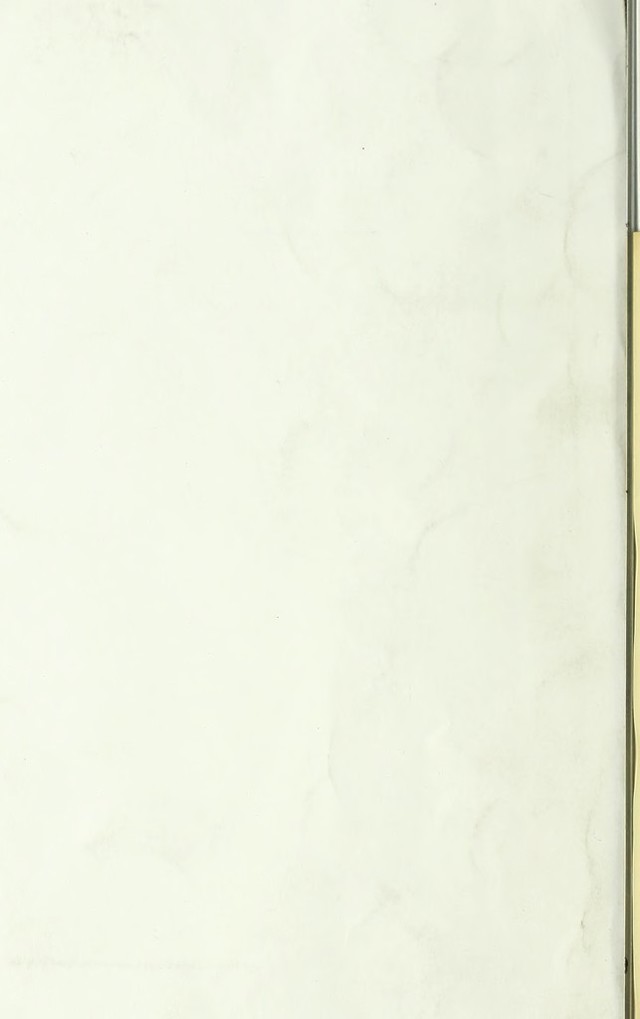 digitised image 2