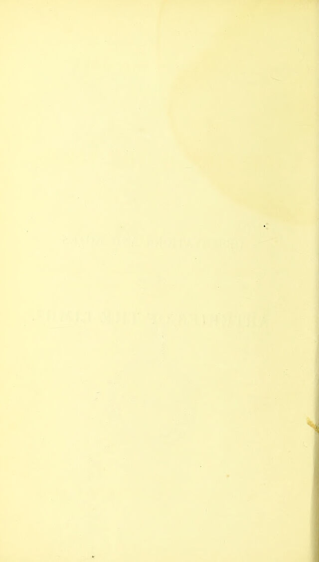 digitised image 2