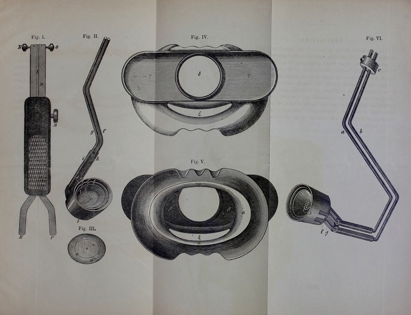 Fig. I. Fis-. II. Fig. VI. M illJIUI itruiliH iUliUl iniiiiji-:' 11 lit tut' it-iiiiiiî.'.-