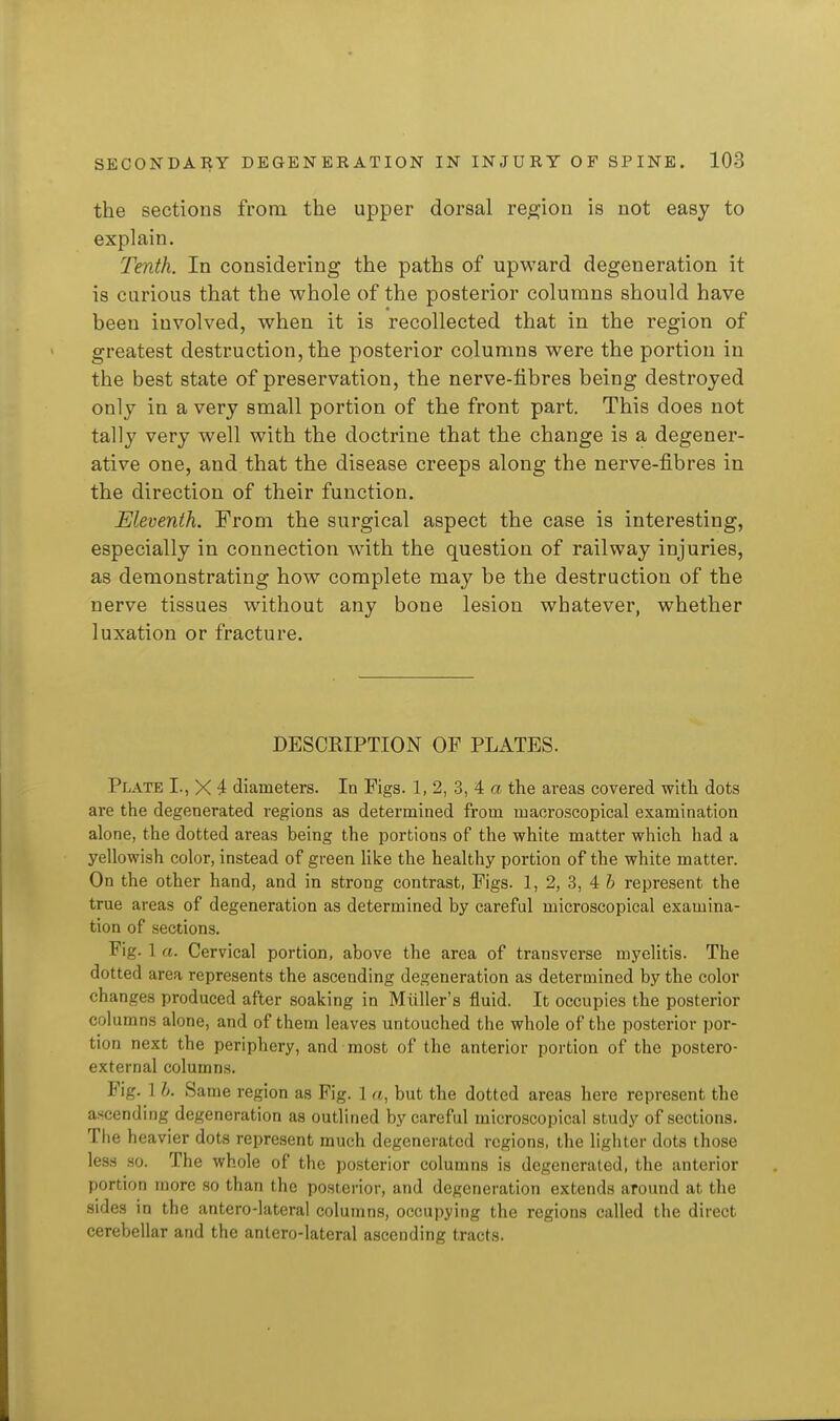 the sections from the upper dorsal region is not easy to explain. Tenth. In considering the paths of upward degeneration it is carious that the whole of the posterior columns should have been involved, when it is recollected that in the region of greatest destruction, the posterior columns were the portion in the best state of preservation, the nerve-fibres being destroyed only in a very small portion of the front part. This does not tally very well with the doctrine that the change is a degener- ative one, and that the disease creeps along the nerve-fibres in the direction of their function. Eleventh. From the surgical aspect the case is interesting, especially in connection with the question of railway injuries, as demonstrating how complete may be the destruction of the nerve tissues without any bone lesion whatever, whether luxation or fracture. DESCRIPTION OP PLATES. Plate I., X 4 diameters. In Figs. 1, 2, 3, 4 a the areas covered with dots are the degenerated regions as determined from macroscopical examination alone, the dotted areas being the portions of the white matter which had a yellowish color, instead of green like the healthy portion of the white matter. On the other hand, and in strong contrast, Figs. 1, 2, 3, 4 & represent the true areas of degeneration as determined by careful microscopical examina- tion of sections. Fig. 1 a. Cervical portion, above the area of transverse myelitis. The dotted area represents the ascending degeneration as determined by the color changes produced after soaking in Miiller's fluid. It occupies the posterior columns alone, and of them leaves untouched the whole of the posterior por- tion next the periphery, and most of the anterior portion of the postero- external columns. Fig. I h. Same region as Fig. 1 a, but the dotted areas here represent the ascending degeneration as outlined by careful microscopical study of sections. The heavier dots represent much degenerated regions, the lighter dots those less so. The whole of the posterior columns is degenerated, the anterior portion more so than the posterior, and degeneration extends around at the sides in the antero-lateral columns, occupying the regions called the direct cerebellar and the antero-lateral ascending tracts.