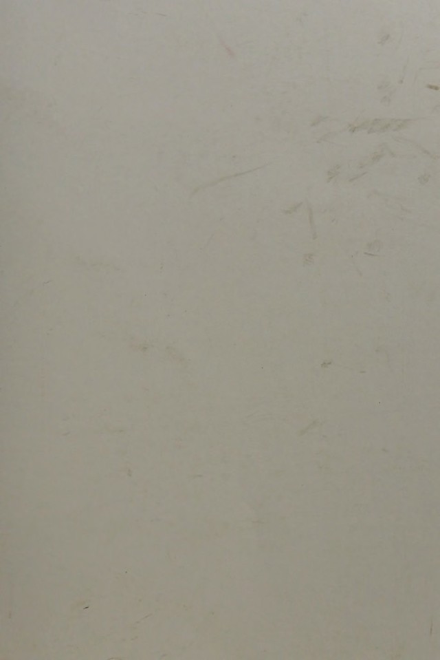 digitised image 1