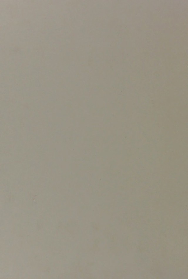 digitised image 2