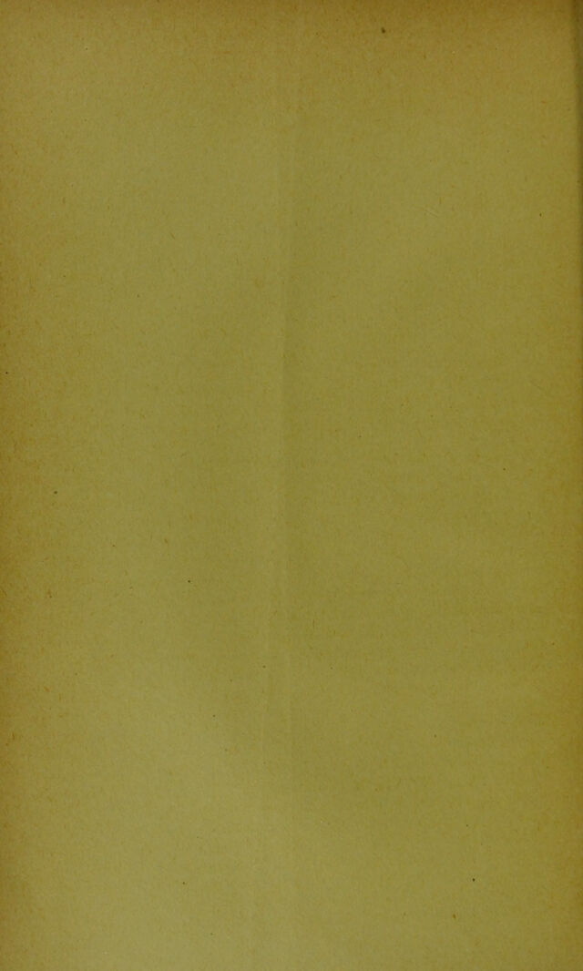 digitised image 2
