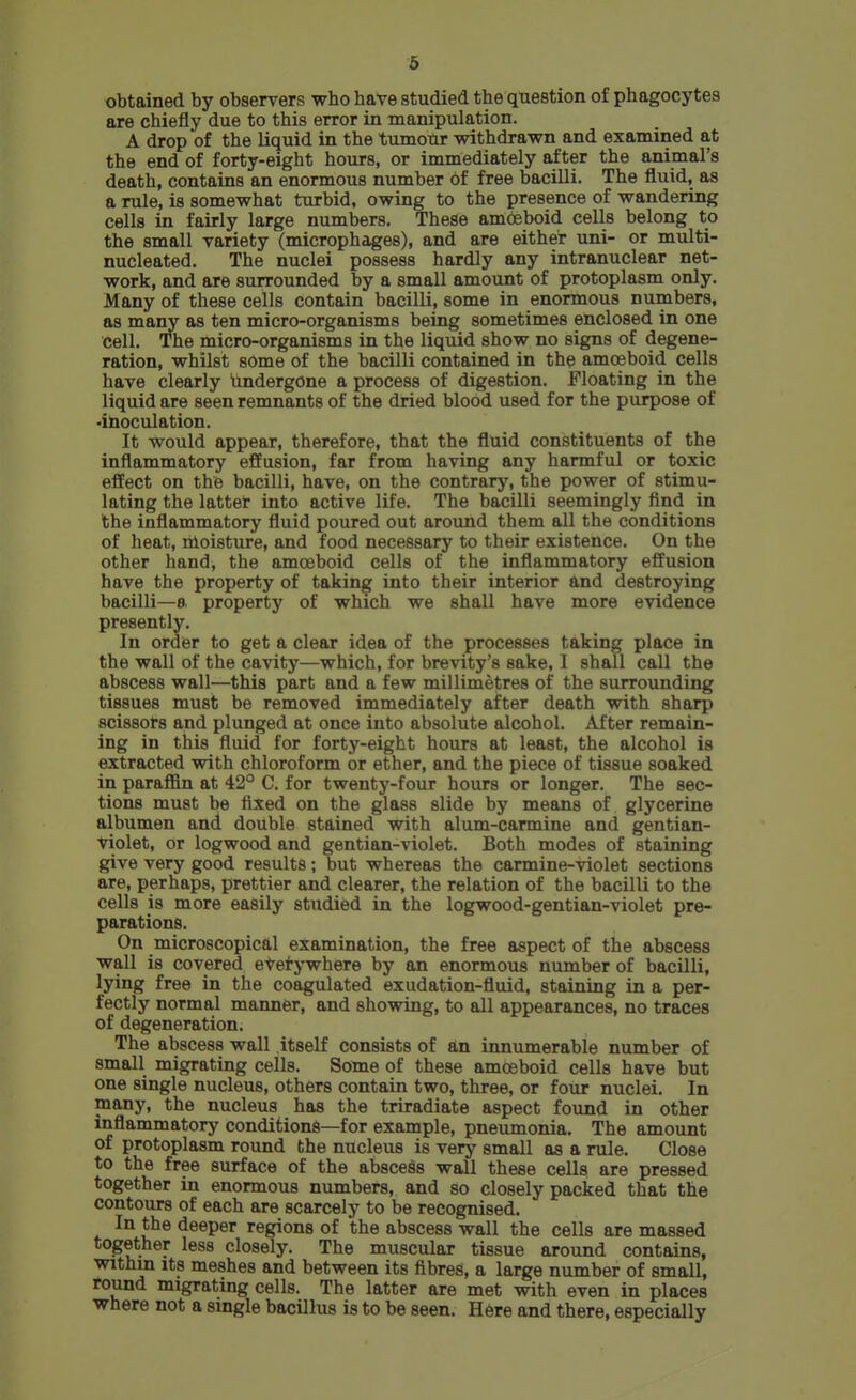 6 obtained by observers who haVe studied the question of phagocytes are chiefly due to this error in manipulation. A drop of the liquid in the tumour withdrawn and examined at the end of forty-eight hours, or immediately after the animal's death, contains an enormous number of free bacilli. The fluid, as a rule, is somewhat turbid, owing to the presence of wandering cells in fairly large numbers. These amoeboid cells belong to the small variety (microphages), and are either uni- or multi- nucleated. The nuclei possess hardly any intranuclear net- work, and are surrounded by a small amount of protoplasm only. Many of these cells contain bacilli, some in enormous numbers, as many as ten micro-organisms being sometimes enclosed in one cell. The micro-organisms in the liquid show no signs of degene- ration, whilst some of the bacilli contained in the amoeboid cells have clearly Undergone a process of digestion. Floating in the liquid are seen remnants of the dried blood used for the purpose of •inoculation. It would appear, therefore, that the fluid constituents of the inflammatory effusion, far from having any harmful or toxic effect on the bacilli, have, on the contrary, the power of stimu- lating the latter into active life. The bacilli seemingly find in the inflammatory fluid poured out around them all the conditions of heat, moisture, and food necessary to their existence. On the other hand, the amoeboid cells of the inflammatory effusion have the property of taking into their interior and destroying bacilli—8, property of which we shall have more evidence presently. In order to get a clear idea of the processes taking place in the wall of the cavity—which, for brevity's sake, I shall call the abscess wall—this part and a few millimetres of the surrounding tissues must be removed immediately after death with sharp scissors and plunged at once into absolute alcohol. After remain- ing in this fluid for forty-eight hours at least, the alcohol is extracted with chloroform or ether, and the piece of tissue soaked in paraffin at 42° C. for twenty-four hours or longer. The sec- tions must be fixed on the glass slide by means of glycerine albumen and double stained with alum-carmine and gentian- violet, or logwood and gentian-violet. Both modes of staining give very good results; but whereas the carmine-violet sections are, perhaps, prettier and clearer, the relation of the bacilli to the cells is more easily studied in the logwood-gentian-violet pre- parations. On microscopical examination, the free aspect of the abscess wall is covered etetywhere by an enormous number of bacilli, lying free in the coagulated exudation-fluid, staining in a per- fectly normal manner, and showing, to all appearances, no traces of degeneration. The abscess wall itself consists of an innumerable number of small migrating cells. Some of these amoeboid cells have but one single nucleus, others contain two, three, or four nuclei. In many, the nucleus has the triradiate aspect found in other inflammatory conditions—for example, pneumonia. The amount of protoplasm round the nucleus is very small as a rule. Close to the free surface of the abscess wall these cells are pressed together in enormous numbers, and so closely packed that the contours of each are scarcely to be recognised. In the deeper regions of the abscess wall the cells are massed together less closely. The muscular tissue around contains, within Its meshes and between its fibres, a large number of small, round migrating cells. The latter are met with even in places where not a single bacillus is to be seen. H6re and there, especially