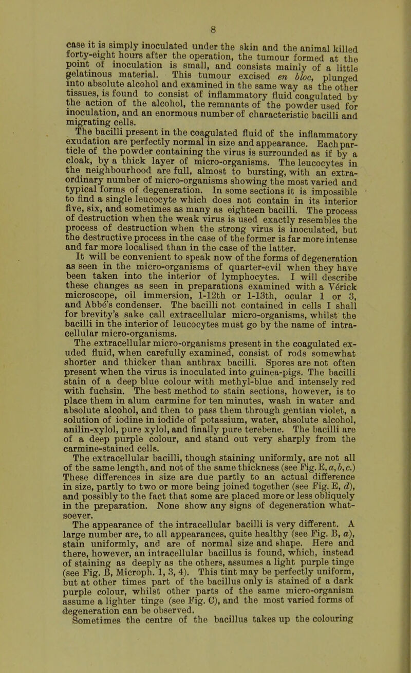 case It 18 simply inoculated under the skin and the animal killed forty-eight hours after the operation, the tumour formed at the point of inoculation is small, and consists mainly of a little gelatinous material. This tumour excised en bloc, plunged into absolute alcohol and examined in the same way as the other tissues, is found to consist of inflammatory fluid coagulated by the action of the alcohol, the remnants of the powder used for inoculation, and an enormous number of characteristic bacilli and migrating cells. The bacilli present in the coagulated fluid of the inflammatory exudation are perfectly normal in size and appearance. Each par- ticle of the powder containing the virus is surrounded as if by a cloak, by a thick layer of micro-organisms. The leucocytes in the neighbourhood are full, almost to bursting, with an extra- ordinary number of micro-organisms showing the most varied and typical forms of degeneration. In some sections it is impossible to find a single leucocyte which does not contain in its interior five, six, and sometimes as many as eighteen bacilli. The process of destruction when the weak virus is used exactly resembles the process of destruction when the strong virus is inoculated, but the destructive process in the case of the former is far more intense and far more localised than in the case of the latter. It will be convenient to speak now of the forms of degeneration as seen in the micro-organisms of quarter-evil when they have been taken into the interior of lymphocytes. I will describe these changes as seen in preparations examined with a V^rick microscope, oil immersion, l-12th or l-13th, ocular 1 or 3, and Abba's condenser. The bacilli not contained in cells I shall for brevity's sake call extracellular micro-organisms, whilst the bacilli in the interior of leucocytes must go by the name of intra- cellular micro-organisms. The extracellular micro-organisms present in the coagulated ex- uded fluid, when carefully examined, consist of rods somewhat shorter and thicker than anthrax bacilli. Spores are not often present when the virus is inoculated into guinea-pigs. The bacilli stain of a deep blue colour with methyl-blue and intensely red with fuchsin. The best method to stain sections, however, is to place them in alum carmine for ten minutes, wash in water and absolute alcohol, and then to pass them through gentian violet, a solution of iodine in iodide of potassium, water, absolute alcohol, anilin-xylol, pvire xylol, and finally pure terebene. The bacilli are of a deep purple colour, and stand out very sharply from the carmine-stained cells. The extracellular bacilli, though staining uniformly, are not all of the same length, and not of the same thickness (see Fig.E,a,b,c.) These differences in size are due partly to an actual difference in size, partly to two or more being joined together (see Fig. E, d), and possibly to the fact that some are placed more or less obliquely in the preparation. None show any signs of degeneration what- soever. The appearance of the intracellular bacilli is very different. A large number are, to all appearances, quite healthy (see Fig. B, a), stain uniformly, and are of normal size and shape. Here and there, however, an intracellular bacillus is found, which, instead of staining as deeply as the others, assumes a light purple tinge (see Fig. B, Microph. 1, 3, 4). This tint may be perfectly uniform, but at other times part of the bacillus only is stained of a dark purple colour, whilst other parts of the same micro-organism assume a lighter tinge (see Fig. C), and the most varied forms of degeneration can be observed. Sometimes the centre of the bacillus takes up the colouring