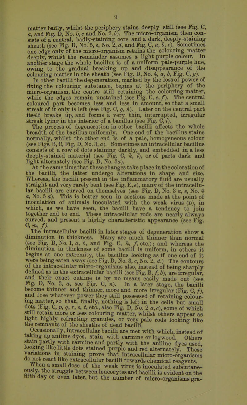 matter badly, whilst the periphery stains deeply still (see Fig. C, a, and Fig. D, No. 5, c and No. 2, b). The micro-organism then con- sists of a central, badly-staining core and a dark, deeply-staining sheath (see Fig. D, No. 6, c, No. 2, d, and Fig. C, a, b, c). Sometimes one edge only of the micro-organism retains the colouring matter deeply, whilst the remainder assumes a light purple colour. In another stage the whole bacillus is of a uniform pale-purple hue, owing to the gradual breaking up and disappearance of the colouring matter in the sheath (see Fig. D, No. 4, a, b. Fig. C, g). In other bacilli the degeneration, marked by the loss of power of fixing the colouring substance, begins at the periphery of the micro-organism, the centre still retaining the colouring matter, while the edges remain unstained (see Fig. C, e, f). The central coloured part becomes less and less in amount, so that a small streak of it only is left (see Fig. C, g, h). Later on the central part itself breaks up, and forms a very thin, interrupted, irregular streak lying in the interior of a bacillus (see Fig. C, i). The process of degeneration in other bacilli affects the whole breadth of the bacillus uniformly. One end of the bacillus stains normally, whilst the other end is of a pale, homogeneous colour (see Figs. B, C, Fig. D, No. 3, a). Sometimes an intracellular bacillus consists of a row of dots staining darkly, and embedded in a less deeply-stained material (see Fig. C, k, I), or of parts dark and light alternately (see Fig. D, No. 3a). At the same time that these changes take place in the coloration of the bacilli, the latter undergo alterations in shape and size. Whereas, the bacUli present in the inflammatory fluid are usually straight and very rarely bent (see Fig. E, e), many of the intracellu- lar bacilli are curved on themselves (see Fig. D, No. 3 a, e. No. 4 a, No. 5 a). This is better seen in sections made at the point of inoculation of animals inoculated with the weak virus (b), in which, as we have seen, the bacUli have a tendency to join together end to end. These intracellular rods are nearly always curved, and present a highly characteristic appearance (see Fig. C, m, f). The intracellular bacilli in later stages of degeneration show a diminution in thickness. Many are much thinner than normal (see Fig. D, No. 1, a, b, and Fig. C, f, etc.); and whereas the diminution in thickness of some bacilli is uniform, in others it begins at one extremity, the bacillus looking as if one end of it were being eaten away (see Fig. D, No. 3, c. No. 2, d.) The contours of the intracellular micro-organisms also, instead of being sharply defined as in the extracellular bacilli (see Fig. B, f, b), are irregular, and their exact outline is by no means easily made out (see Fig. D, No. 3, a, see Fig. C, n). In a later stage, the bacilli become thinner and thinner, more and more irregular (Fig. C, f), and lose whatever power they still possessed of retaining colour- ing matter, so that, finally, nothing is left in the cells but small dots (Fig. C, p, q, r, s, t, etc., also Fig. D, No. 2 a, c), some of which still retain more or less colouring matter, whilst others appear as light highly refracting granules, or very pale rods looking like the remnants of the sheaths of dead bacilli. Occasionally, intracellular bacilli are met with which, instead of taking up aniline dyes, stain with carmine or logwood. Others stain partly with carmine and partly with the aniline dyes used, looking like little dots stained purple and red alternately. These variations m staining prove that intracellular micro-organisms ^^^'^^ extracellular bacilli towards chemical reagents. When a small dose of the weak virus is inoculated subcutane- struggle between leucocytes and bacilli is evident on the nitn aay or even later, but the number of micro-organisms gra-