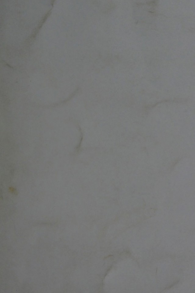 digitised image 1