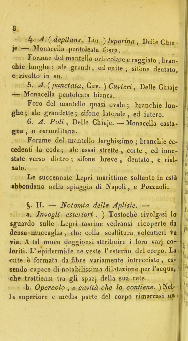 à. yi.{depilans, hm. ) leporina , Delle Cina- je — Monacella pentoleata fosca. Forame del mantello orbicolare e raggiato ; bran- chie lunghe ; ale grandi, ed unite ; sifone dentato, e rivolto in su. 5. J. ( punctata, Cuv. ) Cuvieii, Delle Chiaje '~ Monacella pentoleata bianca.. Foro del mantello quasi ovale ; branchie lun- ghe ; ale grandette; sifone laterale, ed intero. 6. A. Poli ^ Delle Chiaje.—Monacella casta- gna , o carmelitana. Forame del mantello larghissimo ; branchie ec- cedenti la coda ; ale assai strette , corte , ed inne- stale verso dietro ; sifone breve , dentato, e rial- zato. Le succennate Lepri marittime soltanto in està abbondano nella spiaggia di Napoli, e Pozzuoli. §. II. — Notomia delle yfplisie. — a. Invogli esteriori . ) Tostochc rivolgasi Io sguardo sulle Lepri marine vedransi ricoperte da densa muccaglia , che colla scalfitura volentieri va via. A tal muco deggionsi attribuire i loro varj co-' loriti. L* epidermide ne veste Testerno del corpo. Lati cute è formata da fibre variamente intrecciale, es |. sendo capace di notabilissima dilatazione per l'acqua, che tratliensi tra gli spazj della sua rete. b. Opercolo , e cavità che lo contiene. ) Nel- la superiore e media parte del corpo rimarcasi • i