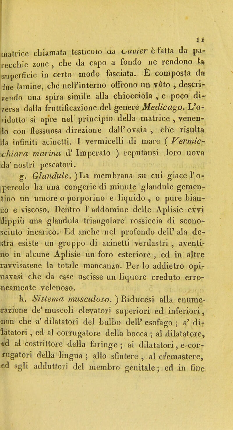 natrice chiamata testicolo ua oiwer è fatta da pa- ecchie zone , che da capo a fondo ne rendono la superfìcie in certo modo fasciala. E composta da ine lamine, che nell'interno offrono un vóto , descri- irendo una spira simile alla chiocciola , e poco di- tersa dalla fruttificazione del genere Medicago. L*o- Vidolto si apre nel principio della matrice » venen- lo con flessuosa direzione dall'ovaia, che risulta Ja infiniti acinetti. I vermicelli di mare ( Fermic- chiara marina dì Imperato ) reputansi loro uova da' nostri pescatori. g. Glaìidule. )ha membrana su cui giace l'o- percolo ha una congerie dì minute glandule gemen- tino un imiore o porporino e liquido, o pure bian- co e viscoso. Dentro l'addomine delle Aplisie evvi dippiù una gianduia triangolare rossiccia di scono- sciuto incarico. Ed anche nel profondo dell' ala de- stra esiste un gruppo di acinetti verdastri , aventi- no in alcune Aplisie un foro esteriore , ed in altre ravvisasene la totale mancanza. Per lo addietro opi- navasi che da esse uscisse un liquore creduto erro- neamente velenoso. h. Sistema musculoso. ) Riducesi alla enume- razione de' muscoli elevatori superiori ed inferiori, non che a' dilatatori del bulbo del? esofago ; a' di- latatori , ed al corrugatore della bocca ; al dilatatore, ed al costrittore della faringe; ai dilatatori, e-cor- rugatori della lingua ; allo sfintere , al c/cmastere, ed agli adduttori del membro genitale; ed in fine