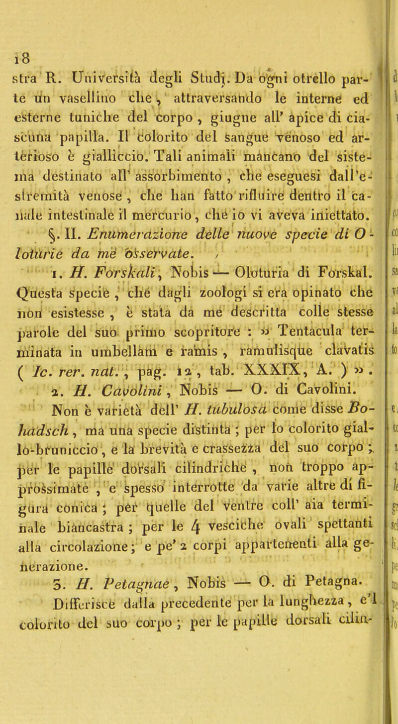 '8 stra R. Univetsiih degli Stiidj. Da Ò'gni olréllo par- 1 te lin vasellino che, attraversando le interne ed cisterne tuniche del corpo , giugne all' apice di cia- scuna papilla. Il Colorito del Sangue venoso ed ar- terioso è gialliccio. Tali animali manòano del siste- ma destinato all' assorbimento , che eseguesi dall'e- stremità venose , che han fatto rifluire dentro il ca- nale intestinale il mercurio , ché ió vi aveva iniettato. ^.11. Enumerazione delle nuove specie di O- loiUrie da tn'é servate. , ■ \, H. Forskali:, NobisOloturia di Forskal. Questa specie clié dagli zoologi si era opinato che nort esistesse, è stata dà mé'descntta colle stesse parole del sub. primo scopritòrò'i TentàcUla ter- minata in umbellàm e i-abiis , ramuHsqiie claVatis ( le. rer. w^?^. v pàg. ia , tab. XXXIX j' A.' ) » . 1. H. Cdifólini, Nobìs — O. di CavoHni. Non è varietà dell' H. tubulosà coinè disse Bo- hadsch, ma una specie distinta ; pet lo colorito gial- lo-bruniccio, e la brevità e crassezza dèi suo corpo pbr le papille dorsali cilindriche , non troppo ap- prossimate V e' fepesso interrotte da varie altre di fi- gura conica J pét tjuelle del venire coli' aia termi- nale biancastra ; per le 4 vesciche ovali spettanti alla circolazione ; e pe* 2 corpi appartenenti alla ge- herazione. 5. ff. Petagnae, Nobis — O. di Petagna. DifFeriscè dalla precedente per là lunghezza, e'I. colorito del suo corpo ; per le papille dorsali cUia-