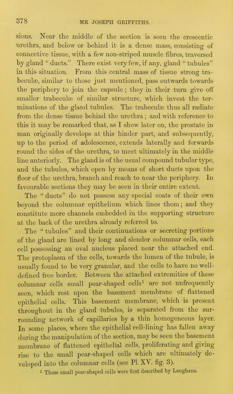 sions. Near the middle of the section is seen the crescentic urethra, and below or behind it is a dense mass, consisting of connective tissue, with a few non-striped muscle fibres, traversed by gland  ducts. There exist very few, if any, gland  tubules in this situation. From this central mass of tissue strong tra- beculse, similar to those just mentioned, pass outwards towards the periphery to join the capsule; they in their turn give off smaller trabeculae of similar structure, which invest the ter- minations of the gland tubules. The trabeculse thus all radiate from the dense tissue behind the urethra; and with reference to this it may be remarked that, as I show later on, the prostate in man originally develops at this hinder part, and subsequently, up to the period of adolescence, extends laterally and forwards round the sides of the urethra, to meet ultimately in the middle line anteriorly. The gland is of the usual compound tubular type, and the tubules, which open by means of short ducts upon the floor of the urethra, branch and reach to near the periphery. In favourable sections they may be seen in their entire extent. The ducts do not possess any special coats of their own beyond the columnar epithelium which lines them; and they constitute mere channels embedded in the supporting structure at the back of the urethra already referred to. The  tubules and their continuations or secreting portions of the gland are lined by long and slender columnar cells, each cell possessing an oval nucleus placed near the attached end. The protoplasm of the cells, towards the lumen of the tubule, is usually found to be very granular, and the cells to have no well- defined free border. Between the attached extremities of these columnar cells small pear-shaped cells^ are not unfrequently seen, which rest upon the basement membrane of flattened epithelial cells. This basement membrane, which is present throughout in the gland tubules, is separated from the sur- rounding network of capillaries by a thin homogeneous layer. In some places, where the epithelial cell-lining has fallen away during the manipulation of the section, may be seen the basement membrane of flattened epithelial cells, proliferating and giving rise to the small pear-shaped cells which are ultimately de- veloped into the columnar cells (see PI. XV. fig. 3). 1 These small pear-shaped cells were first described by Langhans.