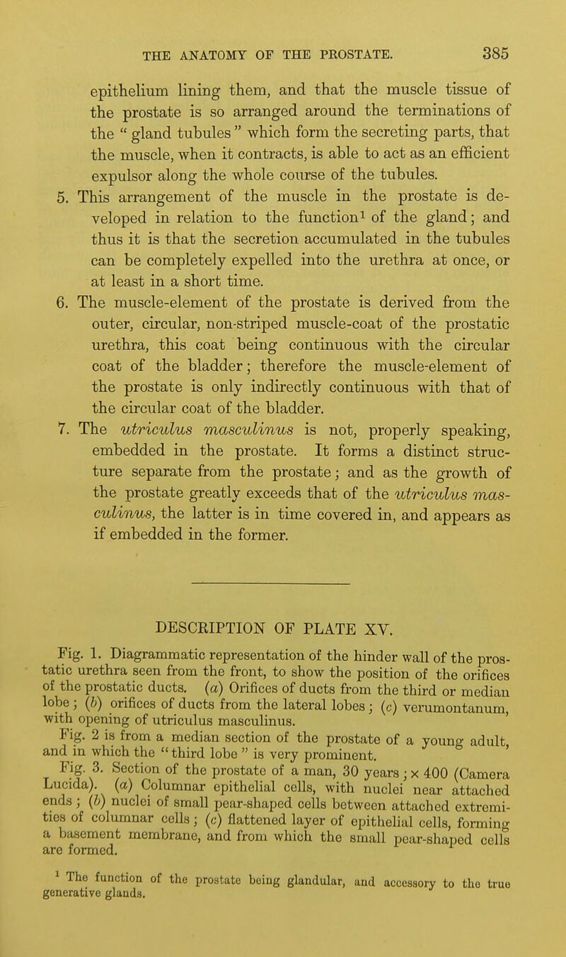 epithelium lining them, and that the muscle tissue of the prostate is so arranged around the terminations of the  gland tubules  which form the secreting parts, that the muscle, when it contracts, is able to act as an efficient expulsor along the whole course of the tubules. 5. This arrangement of the muscle in the prostate is de- veloped in relation to the function ^ of the gland; and thus it is that the secretion accumulated in the tubules can be completely expelled into the urethra at once, or at least in a short time. 6. The muscle-element of the prostate is derived from the outer, circular, non-striped muscle-coat of the prostatic urethra, this coat being continuous with the circular coat of the bladder; therefore the muscle-element of the prostate is only indirectly continuous with that of the circular coat of the bladder. 7. The utriculus masculinus is not, properly speaking, embedded in the prostate. It forms a distinct struc- ture separate from the prostate; and as the growth of the prostate greatly exceeds that of the utriculus mas- culinus, the latter is in time covered in, and appears as if embedded in the former. DESCRIPTION OF PLATE XV. Fig. 1. Diagrammatic representation of the hinder wall of the pros- tatic urethra seen from the front, to show the position of the orifices of the prostatic ducts, (a) Orifices of ducts from the third or median lobe ; {})) orifices of ducts from the lateral lobes; (c) verumontanum, with opening of utriculus masculinus. Fig. 2 is from a median section of the prostate of a young adult and in which the  third lobe  is very prominent. ' Fig. 3. Section of the prostate of a man, 30 years ; x 400 (Camera Lucida). (a) Columnar epithelial cells, with nuclei near attached ends; (b) nuclei of small pear-shaped cells between attached extremi- ties of columnar cells; (c) flattened layer of epithelial cells, forming a basement membrane, and from which the small pear-shaped cells are formed. 1 The function of the prostate being glandular, and accessory to the true generative glands.