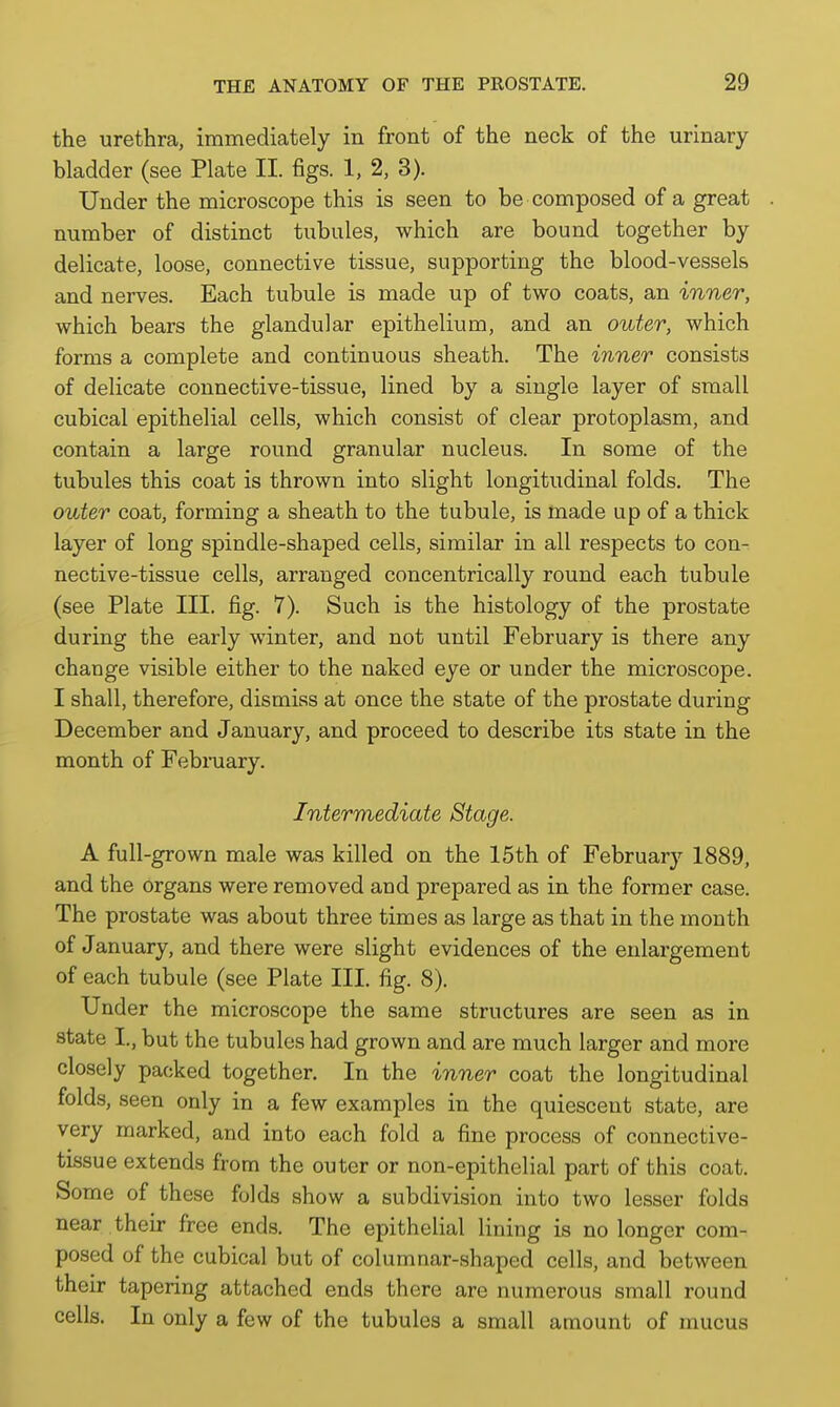 the urethra, immediately in front of the neck of the urinary bladder (see Plate II. figs. 1, 2, 3). Under the microscope this is seen to be composed of a great number of distinct tubules, which are bound together by delicate, loose, connective tissue, supporting the blood-vessels and nerves. Each tubule is made up of two coats, an inner, which bears the glandular epithelium, and an outer, which forms a complete and continuous sheath. The inner consists of delicate connective-tissue, lined by a single layer of small cubical epithelial cells, which consist of clear protoplasm, and contain a large round granular nucleus. In some of the tubules this coat is thrown into slight longitudinal folds. The outer coat, forming a sheath to the tubule, is made up of a thick layer of long spindle-shaped cells, similar in all respects to con- nective-tissue cells, arranged concentrically round each tubule (see Plate III. fig. 7). Such is the histology of the prostate during the early winter, and not until February is there any change visible either to the naked eye or under the microscope. I shall, therefore, dismiss at once the state of the prostate during December and January, and proceed to describe its state in the month of February. Intermediate Stage. A full-grown male was killed on the 15th of February 1889, and the organs were removed and prepared as in the former case. The prostate was about three times as large as that in the month of January, and there were slight evidences of the enlargement of each tubule (see Plate III. fig. 8). Under the microscope the same structures are seen as in state I., but the tubules had grown and are much larger and more closely packed together. In the inner coat the longitudinal folds, seen only in a few examples in the quiescent state, are very marked, and into each fold a fine process of connective- tissue extends from the outer or non-epithelial part of this coat. Some of these folds show a subdivision into two lesser folds near their free ends. The epithelial lining is no longer com- posed of the cubical but of columnar-shaped cells, and between their tapering attached ends there are numerous small round cells. In only a few of the tubules a small amount of mucus