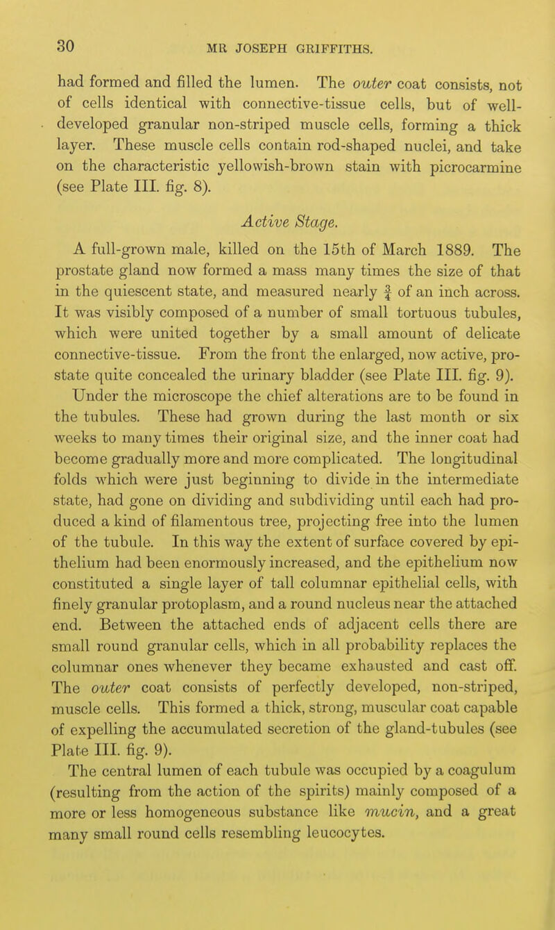 had formed and filled the lumen. The outer coat consists, not of cells identical with connective-tissue cells, but of well- developed granular non-striped muscle cells, forming a thick layer. These muscle cells contain rod-shaped nuclei, and take on the characteristic yellowish-brown stain with picrocarmine (see Plate III. fig. 8). Active Stage. A full -grown male, killed on the 15th of March 1889. The prostate gland now formed a mass many times the size of that in the quiescent state, and measured nearly f of an inch across. It was visibly composed of a number of small tortuous tubules, which were united together by a small amount of delicate connective-tissue. From the front the enlarged, now active, pro- state quite concealed the urinary bladder (see Plate III. fig. 9). Under the microscope the chief alterations are to be found in the tubules. These had grown during the last month or six weeks to many times their original size, and the inner coat had become gradually more and more complicated. The longitudinal folds which were just beginning to divide in the intermediate state, had gone on dividing and subdividing until each had pro- duced a kind of filamentous tree, projecting free into the lumen of the tubule. In this way the extent of surface covered by epi- thelium had been enormously increased, and the epithelium now constituted a single layer of tall columnar epithelial cells, with finely granular protoplasm, and a round nucleus near the attached end. Between the attached ends of adjacent cells there are small round granular cells, which in all probability replaces the columnar ones whenever they became exhausted and cast off. The outer coat consists of perfectly developed, non-striped, muscle cells. This formed a thick, strong, muscular coat capable of expelling the accumulated secretion of the gland-tubules (see Plate III. fig. 9). The central lumen of each tubule was occupied by a coagulum (resulting from the action of the spirits) mainly composed of a more or less homogeneous substance like mucin, and a great many small round cells resembling leucocytes.