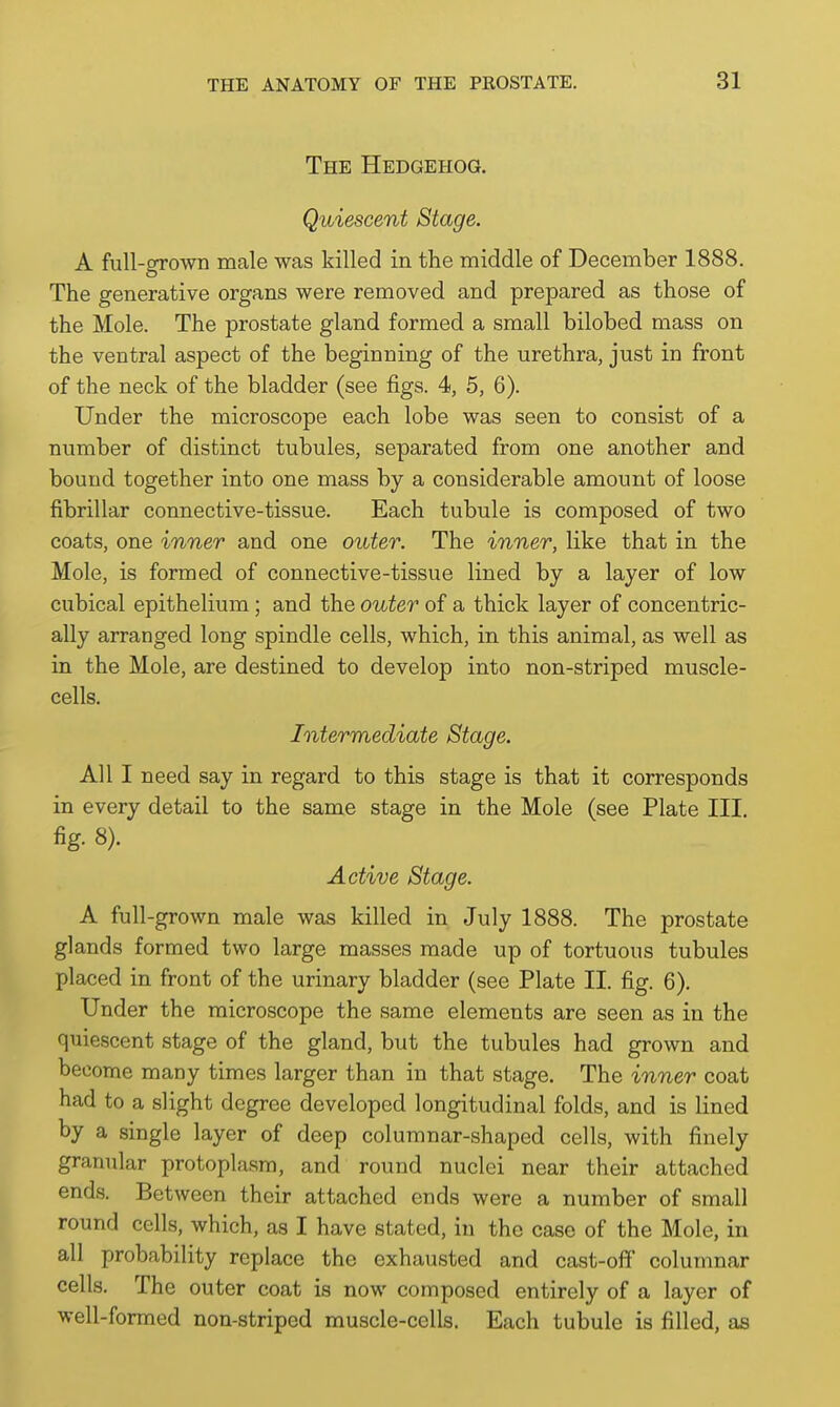 The Hedgehog. Quiescent Stage. A full-grown male was killed in the middle of December 1888. The generative organs were removed and prepared as those of the Mole. The prostate gland formed a small bilobed mass on the ventral aspect of the beginning of the urethra, just in front of the neck of the bladder (see figs. 4, 5, 6). Under the microscope each lobe was seen to consist of a number of distinct tubules, separated from one another and bound together into one mass by a considerable amount of loose fibrillar connective-tissue. Each tubule is composed of two coats, one inner and one outer. The inner, like that in the Mole, is formed of connective-tissue lined by a layer of low cubical epithelium ; and the outer of a thick layer of concentric- ally arranged long spindle cells, which, in this animal, as well as in the Mole, are destined to develop into non-striped muscle- cells. Intermediate Stage. All I need say in regard to this stage is that it corresponds in every detail to the same stage in the Mole (see Plate III. fig. 8). Active Stage. A full-grown male was killed in July 1888. The prostate glands formed two large masses made up of tortuous tubules placed in front of the urinary bladder (see Plate II. fig. 6). Under the microscope the same elements are seen as in the quiescent stage of the gland, but the tubules had grown and become many times larger than in that stage. The inner coat had to a slight degree developed longitudinal folds, and is lined by a single layer of deep columnar-shaped cells, with finely granular protoplasm, and round nuclei near their attached ends. Between their attached ends were a number of small round cells, which, as I have stated, in the case of the Mole, in all probability replace the exhausted and cast-off columnar cells. The outer coat is now composed entirely of a layer of well-formed non-striped muscle-cells. Each tubule is filled, as