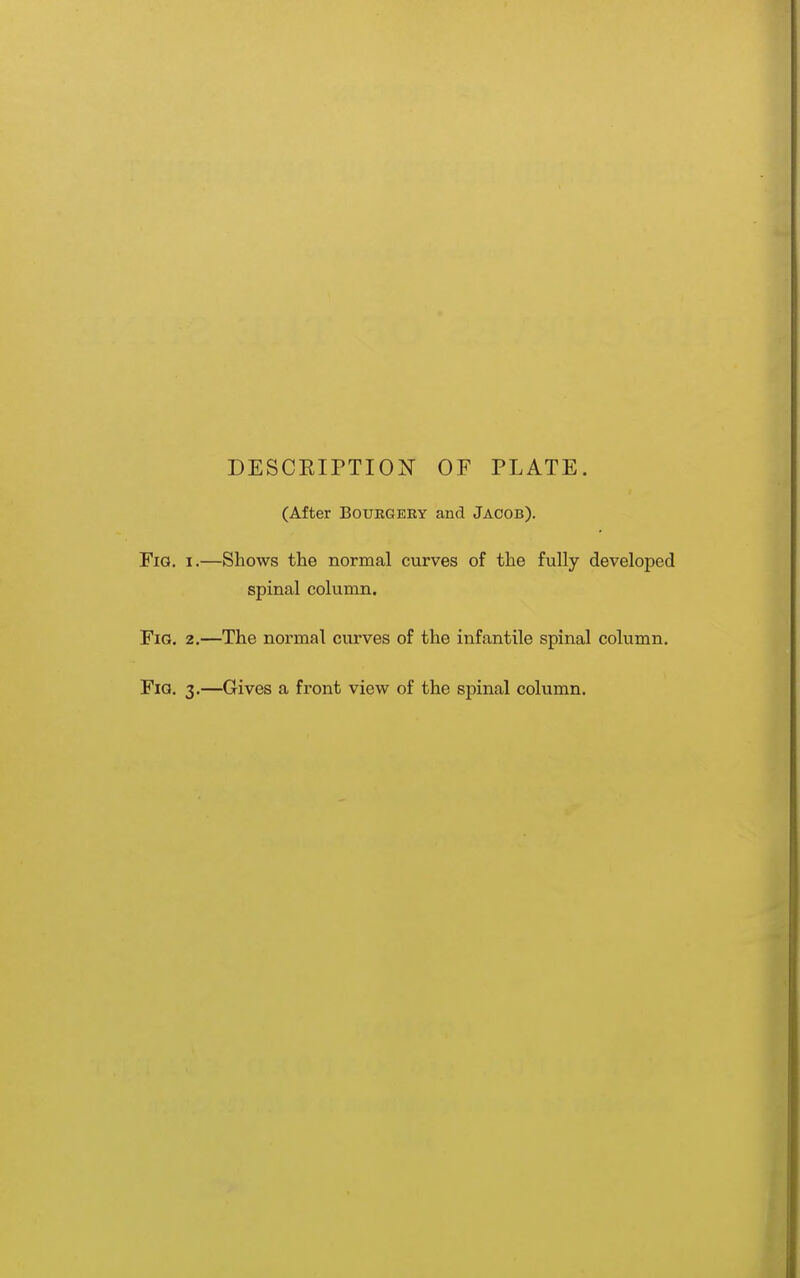 DESCEIPTION OF PLATE. (After BouEGEEY and Jacob). Fia. I.—Shows the normal curves of the fully developed spinal column. Fig. 2.—The normal curves of the infantile spinal column, Fia. 3.—Gives a front view of the spinal column.