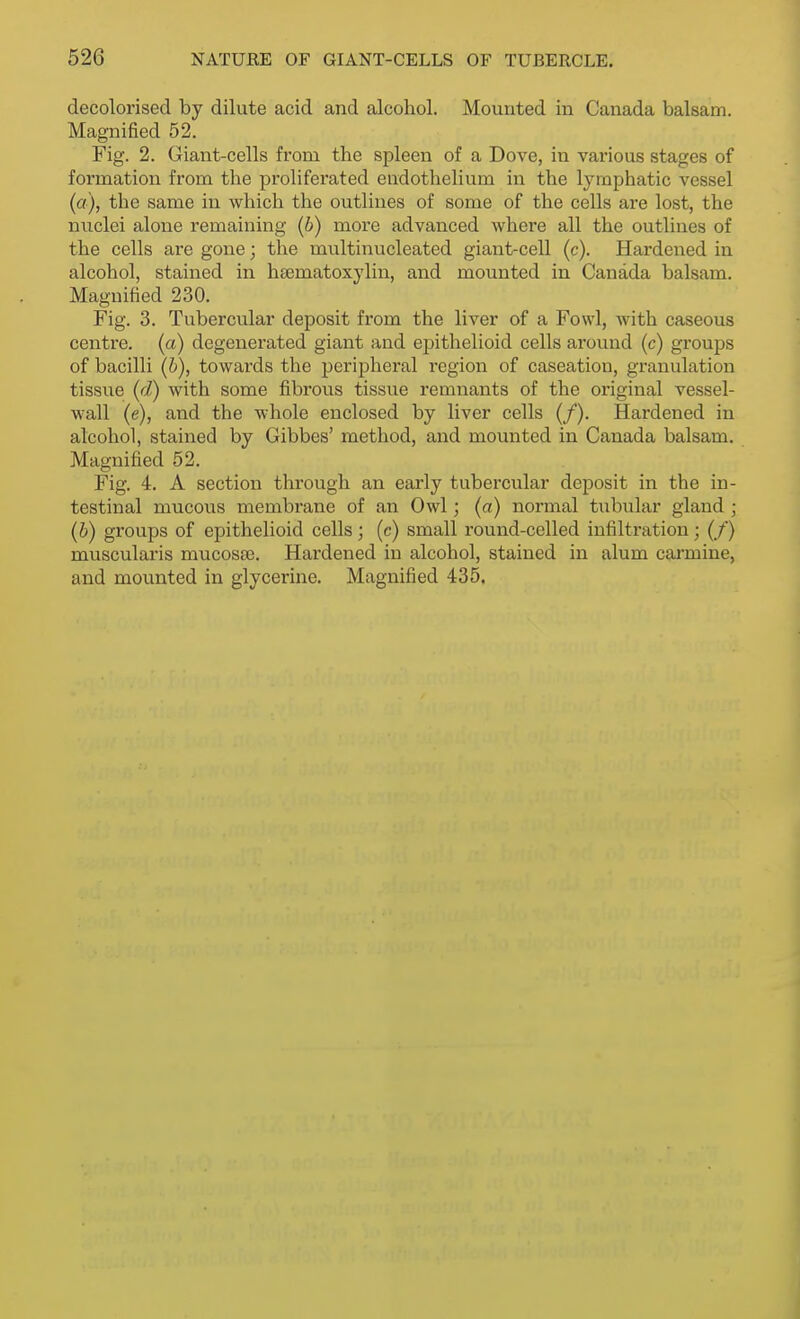 decolorised by dilute acid and alcohol. Mounted in Canada balsam. Magnified 52. Fig. 2. Giant-cells from the spleen of a Dove, in various stages of formation from the proliferated eudothelium in the lymphatic vessel (a) , the same in which the outlines of some of the cells are lost, the nuclei alone remaining (b) more advanced where all the outlines of the cells are gone; the multinucleated giant-cell (c). Hardened in alcohol, stained in haematoxylin, and mounted in Canada balsam. Magnified 230. Fig. 3. Tubercular deposit from the liver of a Fowl, with caseous centre, (a) degenerated giant and epithelioid cells around (c) groups of bacilli (6), towards the peripheral region of caseation, granulation tissue (d) with some fibrous tissue remnants of the original vessel- wall (e), and the whole enclosed by liver cells (/). Hardened in alcohol, stained by Gibbes' method, and mounted in Canada balsam. Magnified 52. Fig. 4. A section through an early tubercular deposit in the in- testinal mucous membrane of an Owl; (a) normal tubular gland ; (b) groups of epithelioid cells; (c) small round-celled infiltration; (/) muscularis mucosee. Hardened in alcohol, stained in alum carmine, and mounted in glycerine. Magnified 435.