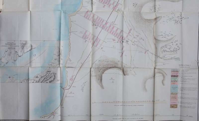 (fiitraiiff i»f tlif shewing (htr ^ POSITIQg OF TH£ BRITISH H08FITAI, SEnniON AT WELL X Vciliral Stall-11 Vlolinclv tni^ ^art^ Atine /TnMs ,^ '^^'^^^^ t^e^ gatlnirLaiff many fiirctrs