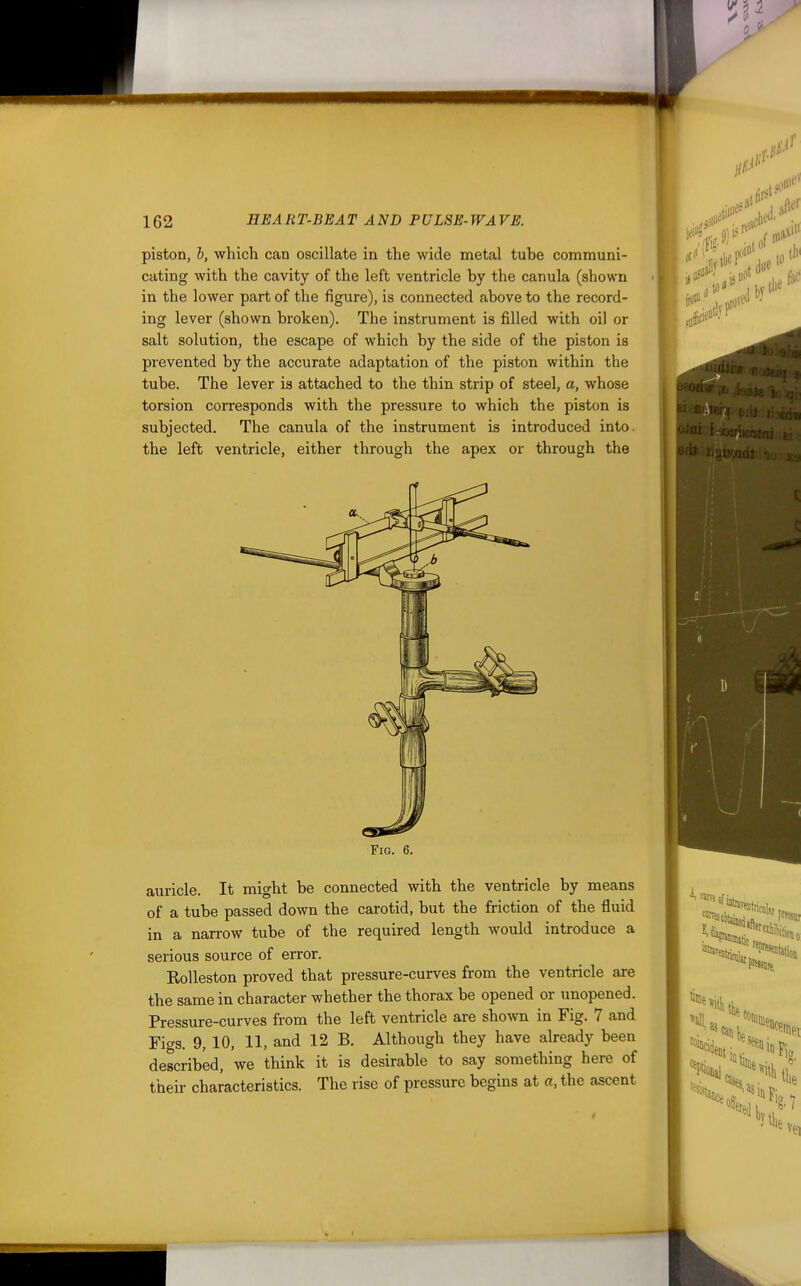 piston, h, which can oscillate in the wide metal tube communi- cating with the cavity of the left ventricle by the canula (shown in the lower part of the figure), is connected above to the record- ing lever (shown broken). The instrument is filled with oil or salt solution, the escape of which by the side of the piston is prevented by the accurate adaptation of the piston within the tube. The lever is attached to the thin strip of steel, a, whose torsion corresponds with the pressure to which the piston is subjected. The canula of the instrument is introduced into, the left ventricle, either through the apex or through the auricle. It might be connected with the ventricle by means of a tube passed down the carotid, but the friction of the fluid in a narrow tube of the required length would introduce a serious source of error. Eolleston proved that pressure-curves from the ventricle are the same in character whether the thorax be opened or unopened. Pressure-curves from the left ventricle are shown in Fig. 7 and Figs. 9, 10, 11, and 12 B. Although they have already been described, we think it is desirable to say something here of their characteristics. The rise of pressure begins at a, the ascent