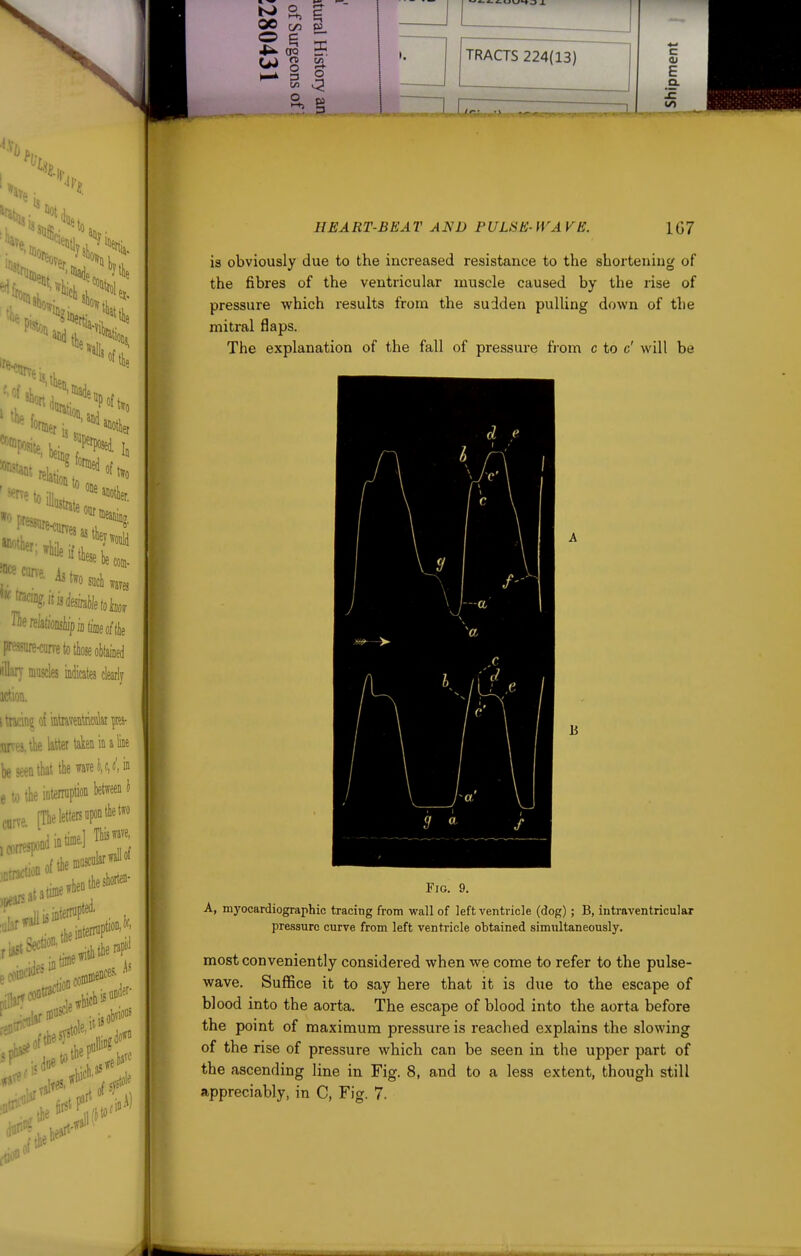 00 GO t/3 X o ^ 3 TRACTS 224(13) c E Q. IE HEART-BEAT AND PULfiE-WAVE. 167 is obviously due to the increased resistance to the shortening of the fibres of the ventricular muscle caused by the rise of pressure which results from the sudden pulling down of the mitral flaps. The explanation of the fall of pressure from c to c' will be li Fig. 9. A, m3'ocardiographic tracing from wall of left ventricle (dog); B, intraventricular pressure curve from left ventricle obtained simultaneously. most conveniently considered when we come to refer to the pulse- wave. Suffice it to say here that it is due to the escape of blood into the aorta. The escape of blood into the aorta before the point of maximum pressure is reached explains the slowing of the rise of pressure which can be seen in the upper part of the ascending line in Fig. 8, and to a less extent, though still