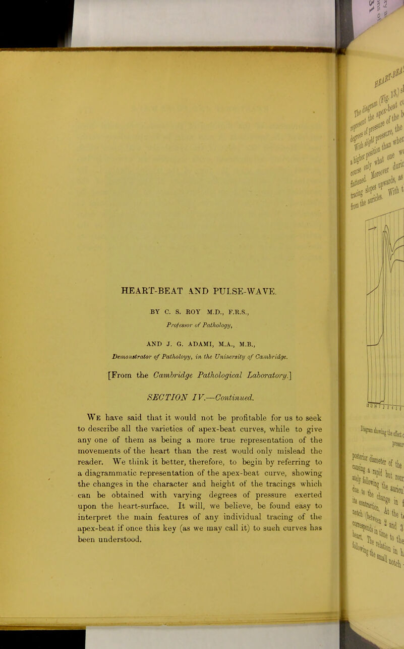 BY C. S, ROY M.D., F.R.S., Professor of Pathology, AND J. G. ADAMI, M.A., M.B., Demonairator of Paiholoyy, in the Uninersity of Cambridge. [Fi'om the Cambridge Pathological Laborato'ry^ SECTION IV.—Continued. We have said that it would not be profitable for us to seek to describe all the varieties of apex-beat curves, while to give any one of them as being a more true representation of the movements of the heart than the rest would only mislead the reader. We think it better, therefore, to begin by referring to a diagrammatic representation of the apex-beat curve, showing the changes in the character and height of the tracings which can be obtained with varying degrees of pressure exerted upon the heart-surface. It will, we believe, be found easy to interpret the main features of any individual tracing of the apex-beat if once this key (as we may call it) to sueh curves has been understood.