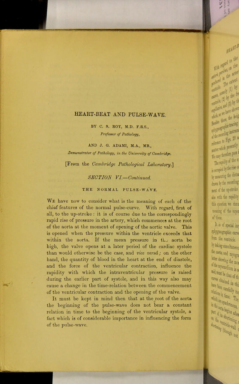 to tli« HEART-BEAT AND PULSE-WAVE. BY C, S. ROY, M.D. F.R.S., Professor of Pathology, AND J. G. ADAMI, M.A., MB,, Demonstrator of Pathology, in the University of CamhrOge. [From the Oavibridge Pathological Laboratory.] SECTION VI.—Continued. THE NORMAL PULSE-WAVE. We have now to consider what is the meaning of each of the chief features of the normal pulse-curve. With regard, first of all, to the up-stroke : it is of course due to the correspondingly rapid rise of pressure in the artery, which commences at the root of the aorta at the moment of opening of the aortic valve. This is opened when the pressure within the ventricle exceeds that within the aorta. If the mean pressure in thj aorta be high, the valve opens at a later period of the cardiac systole than would otherwise be the case, and vice versd; on the other hand, the quantity of blood in the heart at the end of diastole, and the force of the ventricular contraction, influence the rapidity with which the intraventricular pressure is raised during the earlier part of systole, and in this way also may cause a change in the time-relation between the commencement of the ventricular contraction and the opening of the valve. It must be kept in mind then that at the root of the aorta the beginning of the pulse-wave does not bear a constant relation in time to the beginning of the ventricular systole, a fact which is of considerable importance in influencing the form of the pulse-wave. bj measuring the Ji^tai drawDbjtlierecoKliDg ment of tk up-stroke ilso m[\ the rapidity lliis (juestion vie im meiiiiliig of tk supei of tbese. I'- is of special im] spijgmoffrapliic curv( '^■n tie ventricle, ^y^simuitaneou , ^^^fdiuQiis,