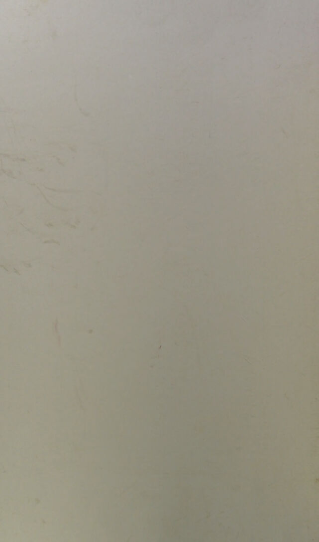 digitised image 2