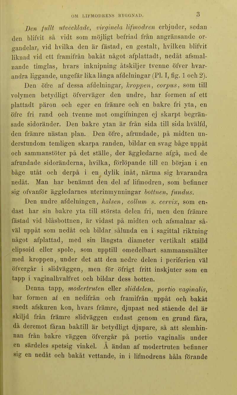 Ben fullt utvecMade, virginéla lifmodren erbjuder, sedan den blifvit så vidt som möjligt befriad från angränsande or- o-andelar, vid hvilka den är fästad, en gestalt, hvilken blifvit liknad vid ett framifrån bakåt något afplattadt, nedåt afsmal- nande timglas, hvars inknipning åtskiljer tvenne öfver hvar- andra liggande, ungefår lika långa afdelningar (Pl. I, fig. 1 och 2). Den öfre af dessa afdelningar, liroppen, corpus, som till volymen betydligt öfverväger den undre, har formen af ett plattadt päron och eger en främre och en bakre fri yta, en öfre fri rand och tvenne mot omgifningen ej skarpt begrän- sade sidoränder. Den bakre ytan är från sida till sida hvälfd, den främre nästan plan. Den öfre, afrundade, på midten un- derstundom temligen skarpa randen, bildar en svag båge uppåt och sammanstöter på det ställe, der äggledarne afgå, med de afrundade sidoränderna, hvilka, förlöpande till en början i en båge utåt och derpå i en dylik inåt, närma sig hvarandra nedåt. Man har benämnt den del af lifmodren, som befinner sig ofvanför äggledarnes uterinmynningar hottnen, fundus. Den undre afdelningen, halsen, collum s. cervix, som en^ dast har sin bakre yta till största delen fri, men den främre fästad vid blåsbottnen, är vidast på midten och afsmalnar så- väl uppåt som nedåt och bildar sålunda en i sagittal riktning något afplattad, med sin längsta diameter vertikalt ställd elipsoid eller spole, som upptill omedelbart sammansmälter med kroppen, under det att den nedre delen i periferien väl öfvergår i slidväggen, men för öfrigt fritt inskjuter som en tapp i vaginalhvalfvet och bildar dess botten. Denna tapp, modertruten eller sliddelen, portio vaginalis, har formen af en nedifrån och framifrån uppåt och bakåt snedt afskuren kon, hvars främre, djupast ned stående del är skiljd från främre slidväggen endast genom en grund fåra, då deremot fåran baktill är betydligt djupare, så att slemhin- nan från bakre väggen öfvergår på portio vaginalis under en särdeles spetsig vinkel. Å ändan af modertruten befinner sig en nedåt och bakåt vettande, in i lifmodrens håla förande