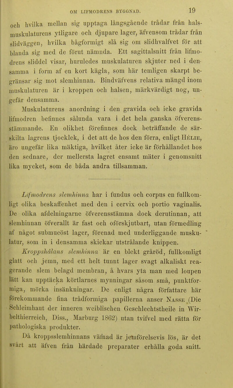 och livilka mellan sig upptaga långsgående trådar från hals- muskulaturens ytligare och djupare lager, äfvensom trådar från slidväggen, hvilka bågformigt slå sig om slidlivalfvet för att blanda sig med de förut nämnda. Ett sagittalsnitt från lifmo- dreus sliddel visar, huruledes muskulaturen skjuter ned i den- samma i form af en kort kägla, som här temligen skarpt be- gränsar sig mot slemhinnan. Bindväfvens relativa mängd inom muskulaturen är i kroppen och halsen, märkvärdigt nog, un- gefår densamma. Muskulaturens anordning i den gravida och icke gravida lifmodren befinnes sålunda vara i det hela ganska öfverens- stämmande. En olikhet förefinnes dock beträffande de sär- skilta lagrens tjocklek, i det att de hos den förra, enligt Hélie, äro ungefär lika mäktiga, hvilket åter icke är förhållandet hos den sednare, der mellersta lagret ensamt mäter i genomsnitt lika mycket, som de båda andra tillsamman. Lifmodrens slemhinna har i fundus och corpus en fullkom- ligt olika beskaffenhet med den i cervix och portio vaginalis. De olika afdelningarne öfverensstämma dock derutinnan, att slemhinnan öfverallt är fast och oförskjutbart, utan förmedling af något submucöst lager, förenad med underliggande musku-  latur, som in i densamma skickar utstrålande knippen. Kroppshålans slemhinna är en blekt gråröd, fullkomligt glatt och jemn, med ett helt tunnt lager svagt alkaliskt rea- gerande slem belagd membran, å livars yta man med loupen lätt kan upptäcka körtlarnes mynningar såsom små, punktfor- miga, mörka insänkningar. De enligt några författare bär förekommande fina trådformiga papillerna anser Nasse ^(Die Schleimhaut der inneren wciblischen Geschlechtstheile in Wir- belthierreich, Diss., Marburg 1862) utan tvifvel med rätta för pathologiska produkter. Då kroppsslemhinnans väfnad är jetnförelsevis lös, är det svårt att äfven från härdade preparater erhålla goda snitt.