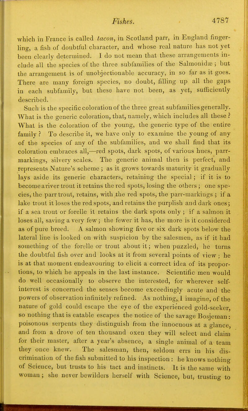 which in France is called tacon, in Scotland paiT, in England finger- ling, a fish of doubtful character, and whose real nature has not yet been clearly determined. 1 do not mean that these arrangements in- clude all the species of the three subfamilies of the Salmonida3; but the arrangement is of unobjectionable accuracy, in so far as it goes. There are many foreign species, no doubt, filling up all the gaps in each subfamily, but these have not been, as yet, sufficiently described. Such is the specific coloration of the three great subfamilies generally. What is the generic coloration, that, namely, which includes all these ? What is the coloration of the young, the generic type of the entire family ? To describe it, we have only to examine the young of any of the species of any of the subfamilies, and we shall find that its coloration embraces all,—red spots, dark spots, of various hues, parr- markings, silvery scales. The generic animal then is perfect, and represents Nature's scheme ; as it grows towards maturity it gradually lays aside its generic characters, retaining the special ; if it is to becomeariver trout it retains the red spots, losing the others ; one spe- cies, the parr trout, retains, with the red spots, the parr-markings ; if a lake trout it loses the red spots, and retains the purplish and dark ones; if a sea trout or forelle it retains the dark spots only ; if a salmon it loses all, saving a very few; the fewer it has, the more is it considered as of pure breed. A salmon showing five or six dark spots below the lateral line is looked on with suspicion by the salesmen, as if it had something of the forelle or trout about it; when puzzled, he turns the doubtful fish over and looks at it from several points of view ; he is at that moment endeavouring to elicit a correct idea of its propor- tions, to which he appeals in the last instance. Scientific men would do well occasionally to observe the interested, for wherever self- interest is concerned the senses become exceedingly acute and the powers of observation infinitely refined. As nothing, I imagine, of the nature of gold could escape the eye of the experienced gold-seeker, 80 nothing that is eatable escapes the notice of the savage Bosjeman: poisonous serpents they distinguish from the innocuous at a glance, and from a drove of ten thousand oxen they will select and claim for their master, after a year's absence, a single animal of a team they once knew. The salesman, then, seldom errs in his dis- crimination of the fish submitted to his inspection : he knows nothing of Science, but trusts to his tact and instincts. It is the same with woman; she never bewilders herself with Science, but, trusting to