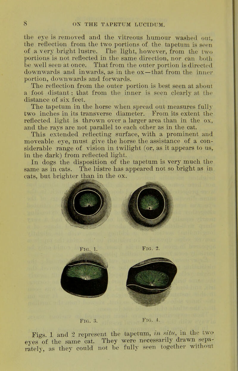 the eye is removed and the vitreous humour washed out, the reflection from the two portions of the tapetum is seen of a very bright lustre. The light, however, from the two portions is not reflected in the same direction, nor can both be well seen at once. That from the outer portion is directed downwards and inwards, as in the ox—that from the inner portion, doAvnwards and forwards. The reflection from the outer portion is best seen at about a foot distant : that from the inner is seen clearly at the distance of six feet. The tapetum in the horse when spread out measures fully two inches in its transverse diameter. From its extent the reflected light is thrown over a larger area than in the ox, and the rays are not parallel to each other as in the cat. This extended reflecting surface, with a prominent and moveable eye, must give the horse the assistance of a con- siderable range of vision in twilight (or, as it appears to us, in the dark) from reflected light. In dogs the disposition of the tapetum is very much the same as in cats. The lustre has appeared not so bright as in cats, but brighter than in the ox. Fto. 1. Fig. 2. Fig. Fig. i. Figs. 1 and 2 represent the tapetum, in .'<Uu, in the two eyes of the same cat. They were ne.cessarily drawn sepa- rately, as thev could not be fully seen together without
