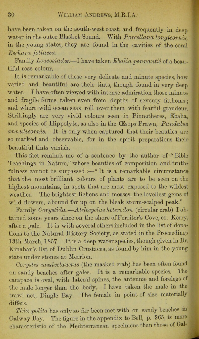 have been taken on the south-west coast, and frequently in deep water in the outer Blasket Sound. With Porcellana longicornis, in the young states, they are found in the cavities of the coral Eschara foliacea. Family Leucosiadce.—I have taken Ehalia pennantii of a beau- tiful rose colour. It is remarkable of these very delicate and minute species, how varied and beautiful are their tints, though found in very deep water. I have often viewed with intense admiration those minute and fragile forms, taken even from depths of seventy fathoms; and where wild ocean seas roll over them with fearful grandeur. Strikingly are very vivid colours seen in Pinnotheres, Ebalia, and species of Hippolyte, as also in the (Esops Prawn, Pandalus annulicornis. It is only when captured that their beauties are so marked and observable, for in the spirit preparations their beautiful tints vanish. This fact reminds me of a sentence by the author of  Bible Teachings in Nature, whose beauties of composition and truth- fulness cannot be surpassed :— It is a remarkable circumstance that the most briUiant colours of plants are to be seen on the highest mountains, in spots that are most exposed to the wildest weather. The brightest lichens and mosses, the loveliest gems of wild flowers, abound far up on the bleak storm-scalped peak. Family Corystidce.—Atelecyclus heterodon (circular crab) I ob- tained some years since on the shore of Ferriter's Cove, co. Kerry, after a gale. It is with several others included in the list of dona- tions to the Natural History Society, as stated in the Proceeding-^ 13th March, 1857. It is a deep water species, though given in Dr. Kinahan's list of Dublin Crustacea, as found by him in the 3^onng state under stones at Mention. Corystes cassivelaunus (the masked crab) has been often found on sandy beaches after gales. It is a remarkable species. The carapace is oval, with lateral spines, the antennee and forelegs of the male longer than the body. I have taken the male in the trawl net, Dingle Bay. The female in point of size materially. differs. Thia polita has only so far been met with on sandy beaches in; Galway Bay. The figure in the appendix to Bell, p. 365, is more characteristic of the Mediterranean specimens than those of Gal-