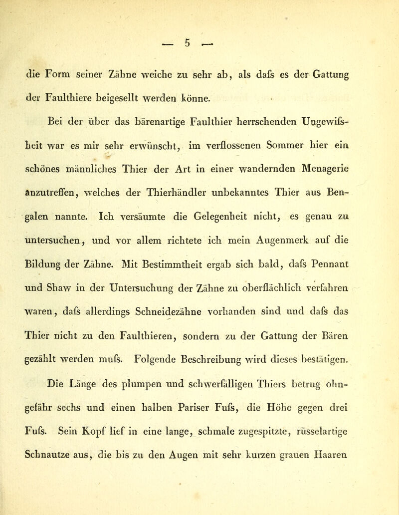 die Form seiner Zähne weiche zu sehr ab, als dafs es der Gattung der Faullhiere beigesellt werden könne. Bei der über das bärenartige Faulthier herrschenden Ungewifs- lieit war es mir sehr erwünscht, im verflossenen Sommer hier ein schönes männliches Thier der Art in einer wandernden Menagerie anzutreffen, welches der Thierhändler unbekanntes Thier aus Ben- galen nannte. Ich versäumte die Gelegenheit nicht, es genau zu untersuchen, und vor allem richtete ich mein Augenmerk auf die Bildung der Zähne. Mit Bestimmtheit ergab sich bald, dafs Pennant und Shaw in der Untersuchung der Zähne zu oberflächlich verfahren waren, dafs allerdings Schneidezähne vorhanden sind und dafs das Thier nicht zu den Faulthieren, sondern zu der Gattung der Bären gezählt werden mufs. Folgende Beschreibung wird dieses bestätigen. Die Länge des plumpen und schwerfälligen Thiers betrug ohn- gefähr sechs und einen halben Pariser Fufs, die Höhe gegen drei Fufs. Sein Kopf lief in eine lange, schmale zugespitzte, rüsselartige Schnautze aus, die bis zu den Augen mit sehr kurzen grauen Haaren