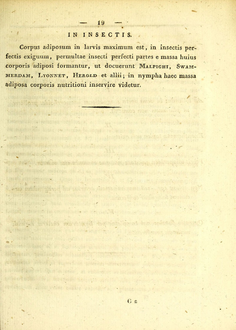 I N INSECTIS. , Corpus adiposum in lai*vis maximum est, in insectis per- fectis exiguum, permultae insecti perfecti partes e massa huius corporis adiposi formantur, ut docuerunt Malpighi, Swam- merdam, Lyonnet, Herold et allii; in nympha haec massa adiposa corporis nutritioni inservire videtur.