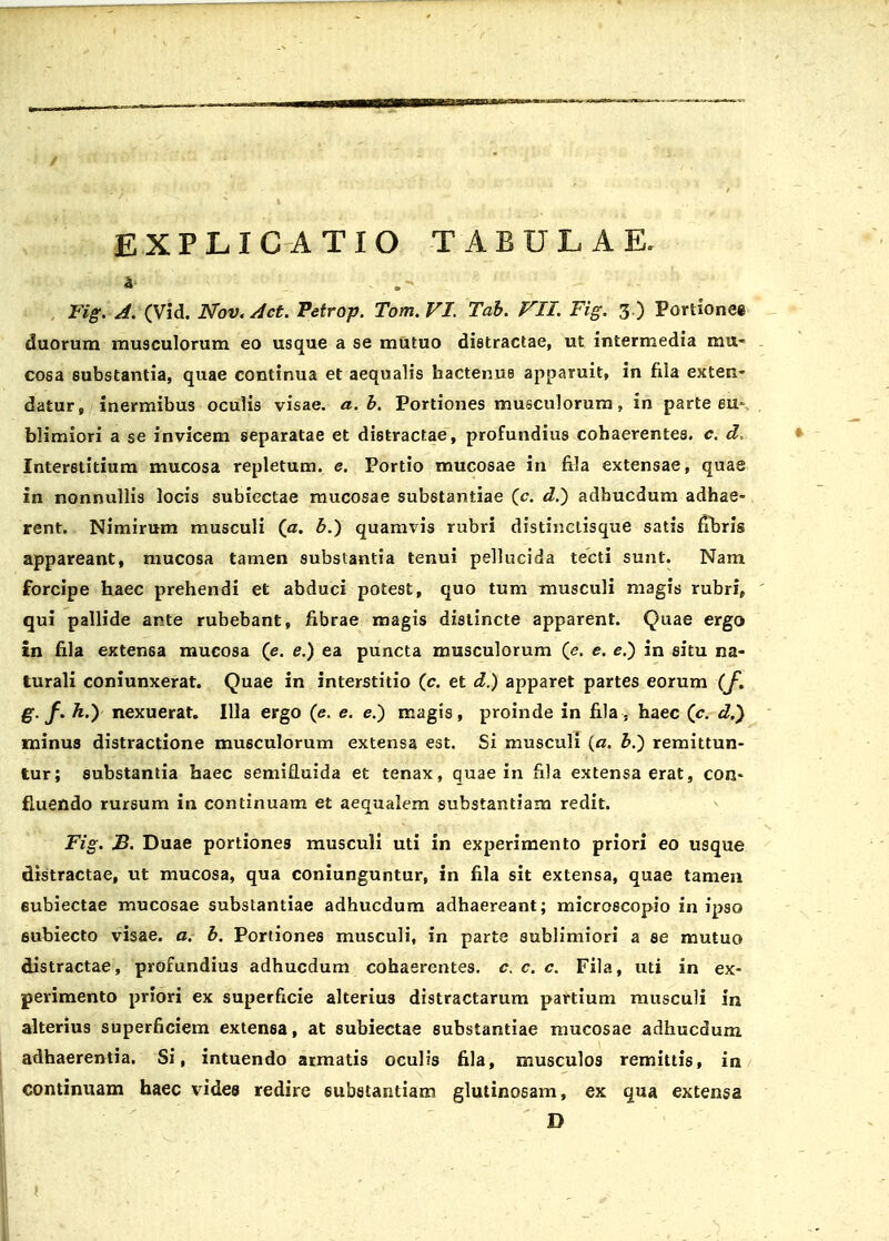 EXPLIC ATIO TABULAE. , Fig. A. (Vid. Nov.Act. Petrop. Tom.VI. Tab. VII. Fig. 3.) Portionee duorum musculorum eo usque a se mutuo dietractae, ut intermedia mu- cosa substantia, quae continua et aequalis hactenus apparuit, in fila exten- datur, inermibus oculis visae. a. b. Portiones musculorum, in parte eu* blimiori a se invicem separatae et di6tractae, profundius cohaerentes. c. d, Interstitium mucosa repletum. e. Portio mucosae in fila extensae, quae in nonnullis locis subiectae mucosae substantiae (c. d.) adhucdum adhae- rent. Nimirum musculi (a. b.) quamvis rubri distinctisque satis fibris appareant, mucosa tamen substantia tenui pellucida tecti sunt. Nam forcipe haec prehendi et abduci potest, quo tum musculi magis rubri, qui pallide ante rubebant, fibrae magis distincte apparent. Quae ergo in fila extensa mucosa (e. e.) ea puncta musculorum (<?. e. e.) in situ na- turali coniunxerat. Quae in interstitio (c. et d.) apparet partes eorum (f. g. f. h.) nexuerar. Illa ergo (e. e. e.) magis, proinde in fila, haec (c. d.} minus distractione musculorum extensa est. Si musculi (o. b.) remittun- tur; substantia haec semifluida et tenax, quae in fila extensa erat, con- fiuendo rursum in continuam et aequalem substantiam redit. Fig. B. Duae portiones musculi uti in experimento priori eo usque distractae, ut mucosa, qua coniunguntur, in fila sit extensa, quae tamen eubiectae mucosae substantiae adhucdum adhaereant; microscopio in ipso eubiecto visae. a. b. Portiones musculi, in parte sublimiori a se mutuo distractae, profundius adhucdum cohaerentes. c. c. c. Fila, uti in ex- perimento priori ex superficie alterius distractarum partium musculi in alterius superficiem extenea, at subiectae substantiae mucosae adhucdum adhaerentia. Si, intuendo armatis oculis fila, musculos remittis, in continuam haec videe redire 6ubstantiam glutinosam, ex qua extensa D