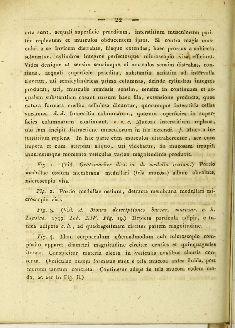 orta sunt, aequali superficie praeditam, interstitium musculorum p&ri- ter replentem et musculos obducentem ipsos. Si contra magis mus- culos a se invicem distrahas, filaque extendas; haec prorsu6 a subiecta solvuntur, cylindros integros perfectosque microscopio visa efficiunt. Vides denique ut sensim sensimque, si musculos sensim distvahas, con- tinua, aequali superficie praedita, substantia striatim ad intervalla elevetur, uti semicylindricas primo columnas, deinde cylindros integros producat, uti, musculis remissis sensim, sensim in continuam et ae- qualem substantiam coeant rursum haec fila, extensione producta, quae natura formata credita cellulosa dicuntur, quorumque interstitia cellas vocamus. d. d. Interstitia columnarum, quorum superficies in super- ficies columnarum continuant. e. e. e. Mucosa interstitium replene, ubi iam incipit distractione musculorum in fila extendi. f. Mucosa in- terstitium replens. In hac parte cum musculos distraherentur, aer cum impetu et cum 6trepitu aliquo, uti videbatur, in mucosam irrupit, innumerasque momento vesiculas variae magnitudinis produxit. Fig, i. (Vid. Griitzmacher diss. in. de medulla ossium.) Portio medullae ossium membrana medullari (tela mucosa) adhuc obvolut», microscopio visa. Fig. 2. Poriio medullae ossium, detracta membrana medullari mi- croscopio visa. '?*£• 3- (Vid. A. Monro descriptiones bursar. mucosar. c. li. Lipsiae. 1799. Tab. XIV. Fig. 19.) Depicta particula adipis, e tu- nica adiposa c. h., ad quadragesimam circiter partem magnitudine. Fig. 4. Idem corpusculum quemadmodum sub microscopio com- posito apparet diametri magnitudine circiter centies et quinquagesies iterata. Conspicitur materia oleosa in vesiculis ovalibus clausis con- tenta. (Vesiculae autem formatae sunt e tela mucosa antea fluida, post mortem tantum concreta. Continetur adeps in tela mucoea eodem mo- do, ac aer in Fig. B.)