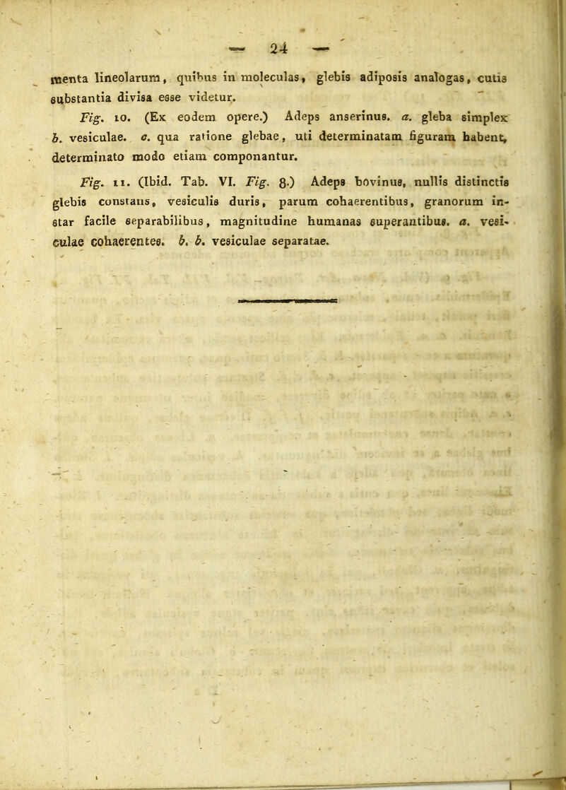 eubstantia divisa esse videtur. Fig. 10. (Ex eodem opere.) Adeps anserinus. a. gleba simplex h. vesiculae. o. qua ratione gkbae, uti determinatam figuram habent, determinato modo etiam componantur. Fig. ii. (Ibid. Tab. VI. Fig. 8-) Adeps bovinus, nullis distinctts glebis constaiis, vesiculis duris, parum cohaerentibus, granorum in- 8tar facile eeparabilibus, magnitudine humanas euperantibuj. a. veei- cuke cohaerentes. bt b. vesiculae separatae.