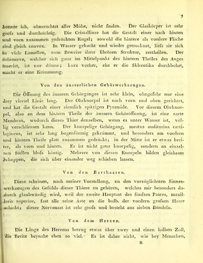 lionnte ich, olmerachtet aller Mühe, nicht fmden. Der Glaslxörper ist sehr grofs und durchsichtig. Die Cristallinse hat die Gestalt einer nach hinten und vom zusammen gedrückten Kugel; sowohl die hintere als vordere Fläche sind 2;lcich convex. In Wasser gekocht und wieder getrocknet, Llefs sie sich in viele Lamellen, zum Beweise ihrer fibrösen Struktur, zertheilen. Der Sehenerve, welcher sich ga7iz ini Mittelpunkt des hintern Theiles des Auges inserirt, ist nur dünne; kurz vorher, ehe er die Sklerotika durchbohrt, macht er eine Krümnumg. Von den ä u s s erlicli e n Geh. ö r w erk z eug e n. Die Öffnung des äussern Gehörganges ist sehr klein, ohngefehr nur eine drey viertel Linie lang. Der Ohrknorpel ist nach vorn und oben gerichtet, imd hat die Gestalt einer ziemlicli spitzigen Pyramide. Vor diesem Ohrknor- pel, also an dem hiritern Tlieile der äussern GehöröfFnung, ist eine zarte Membran, Avodurch dieses Thier denselben, wenn es unter Wasser ist, völ- lig veischliessen kann. Der knorpelige Gehörgang, meatus auditorius carii- lagineus, ist sehr lang bogenförmig gekrümmt, und besonders am vordem imd hintern Theile platt zusanmien gedrückt; in der Mitte ist er etwas brei- ter, als vom imd hinten. Er ist nicht ganz knorpelig, sondern an einzel- nen Stellen blofs häutig. Mehrere von diesen Knorpeln bilden gleichsam Bchuppen, die sich über einander weg schieben lassen. Von den B a r t h a a r e n. ; Diese scheinen, nacli meiner Vorstellung, zu den vorzüglichsten Sinnes- -werkzeugen des Gefühls • dieser Thi^re zu gehören, welches mir besonders da- dmxh glaubwürdig wird, weil der zweite Hauptast des fünften Paares, maxil- Liaris superior, fast alle ?;eine Äsie an die bulb. der vordem grofsen Haare -^schickt; dieser Nervenast ist sehr grofs und besteht aus sieben Bündeln. Vondem Herzen. Die Länge des Herzens betrug etwas über zwey und einen halben Zoll, die Breite beynahe eben so viel. - Es ist daher nicht, wie bey IMensclien, B