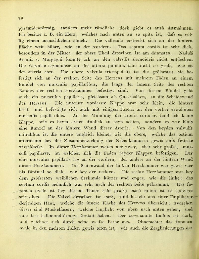 P3^rann<3enförinig, sonä^em mehr rilndlichj doch giebt es niteh Ausnahmen, Ich besitze z. B. ein Herz, welches nach unten zu so spitz ist, clafs es völ- lig einem menschlichen ähnelt. Die vallecula ei'strecht sich an der hlniena Fläche weit höher, wie an der vordem. Das septum cordis ist sehr dick, besonders in der Mitte; der obere Theü desselben ist am dünnsten. Nadiiü Aran^ii s. Morgagni honnte ich an den valvulis sigmoideis nicht entdechen. Die valviilae sigmoideae an der arteria piilnion. sind niclit so grofs, wie aa der arteria aort. Die obere valvula tricnspidalis ist die gvöfsestc; sie be- festigt sich an der rechten Seite des Herzens mit mehrem Fäden an einem Bündel von mus,culis papillarihus, die längs der Innern Seite des rechten Bandes der rechten Herzhammer befestigt sind. Von diesem Bündel geht auch ein musciilus papillaris, gleiclisam als Qiieerbalhen, an die Scheidewand des Herzens. Die unterste vorderste Klappe war sehr Islein, die hintere breit, und befestigte sich auch mit einigen Fasem an den vorher erwähnten musculis papillarihus. An der Mündung der arteria coronar. fand ich keine Klappe, wie es beym erstei:i Anblich zu seyn schien, sondern es war blofs eine Bunzel an der hintern Wand dieser Arterie. Von den beyden valvulis niitralibus ist die untere imgleich Meiner wie die obere, welche das ostiunj arteriosum bey der Zusammenziehung der Nebeiihammern gewis aufs festeste rerschliefst. In dieser Herzhammer waren nur zwey, aber sehr grofse, mus- culi papilläres, an welchen sich die Faden bey der Klappen befestigen. Der eine musculus papillaris lag an der vordem, der andere an der hintern Wand dieser Herzkammern. Die Seiten wand der linken Herzkammer war gewis vier bis fünfmal so dick, wie bey der rechten. Die rechte Herzkammer war bey dem gröfsesten weiblichen Seehunde kürzer imd enger, wie die linke; das septum cordis nehmlich war sehr n^ach der rechten Seite gekrümmt. Das fo- ramen ovale ist bey diesem Thiere sehr grofs; nach unten ist es spitziger wie oben. Die Valvel desselben ist stark, und besteht aus einer Duplikatur—' derjenigen Haut, welche die innere Fläche des Herzens überzieht; zwischen dieser sind Muskelfasern, welche länglicht von oben nach tmten gehen, und eine fast halbmondföi'mige Gestalt haben. Der sogenannte limbus ist staik, luid zciclmet sich durch seine weifse Farbe aus. Ohnerachtet das foramen ovale in den meisten Fällen gewis offen ist, wie auch die Zergliederungen der