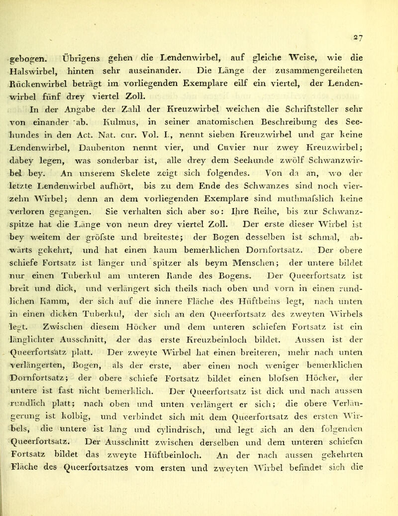 .■27 geboo;en. Übrigens gehen die Lendenwirbel, auf gleiche Weise, wie die Halswirbel, hinten sehr auseinander. Die Länge der zusammengereiheten Ulickenwirbel beträgt im vorliegenden Exemplare eüf ein viertel, der Lenden- wirbel fünf drey viertel Zoll. In der Angabe der Zahl der Kreuzwirbel weichen die Schriftsteller sehr von einander ab. Kulmus, in seiner anatomischen Beschreibung des See- himdes in den Act. Nat. cur. Vol. I., nennt sieben Kreuzwirbel und gar Iteine Lenden-wdrbel, Daubenton nennt vier, und Cuvier nur zwey Kreuzwiibel; dabey legen, was sonderbar ist, alle drey dem Seehunde zwölf Schwanzwir- bel bey. An imserem Slielete zeigt sich folgendes. Von da an, wo der letzte I^endenwirbel aufhört, bis zu dem Ende des Schwanzes sind noch vier- zehn Wirbel; denn an dem vorliegenden Exemplare sind mutlimafslich keine verloren gegangen. Sie veihalten sich aber so: Ihre Reihe, bis zur Schwanz- spitze hat die Länge von neun drey viertel Zoll. Der ei'ste dieser Wirbel ist bey w-eitem der gröfste und breiteste; der Bogen desselben ist schmal, ab- wärts gekehrt, tmd hat einen kamn bemerklichen Dornfortsatz. Der obere schiefe Fortsatz ist länger und spitzer als beym Menschen; der untere bildet nur einen Tuberkul am imteren Rande des Bogens. Der Oueerfortsatz ist brfit xmd dick, und verlängert sich theils nach oben und vorn in einen rund- lichen Kamm, der sich auf die innere Fläche des Hüftbeins legt, nach unten in einen dicken Tuberkul, der sich an den Queerfortsalz des zweyten Wirbels le^t. Zwischen diesem Höcker und dem untei-en schiefen Fortsatz ist ein länglichter Ausschnitt, -der das erste Kreuzbeinloch bildet. Aussen ist der Queerfortsatz platt. Der zweyte Wirbel hat einen breiteren, mehr nach unten verlängerten, Bogen, als der erste, aber einen noch weniger bemerkliclien Dornfortsatz; der obere schiefe Fortsatz bildet einen blofsen Höcker, der untere ist fast nicht bemerklich. Der (^ueerfortsatz ist dick und nach aussen rundlich platt; nach oben imd unten verlän^^ert er sich; die obere Verlan- geiung ist kolbig, und verbindet sich mit dem Oueerfortsatz des ersten ^^n■- bels, die imtere ist lang und cylindrisch, und legt sich an den folgenden Queerfortsatz. Der Ausschnitt zwischen derselben und dem unteren schiefen Fortsatz bildet das zweyte Hüftbeinloch. An der nach aussen gekehrten Fläche des Queerfortsatzes vom ersten und zweyten Wirbel befindet sich die