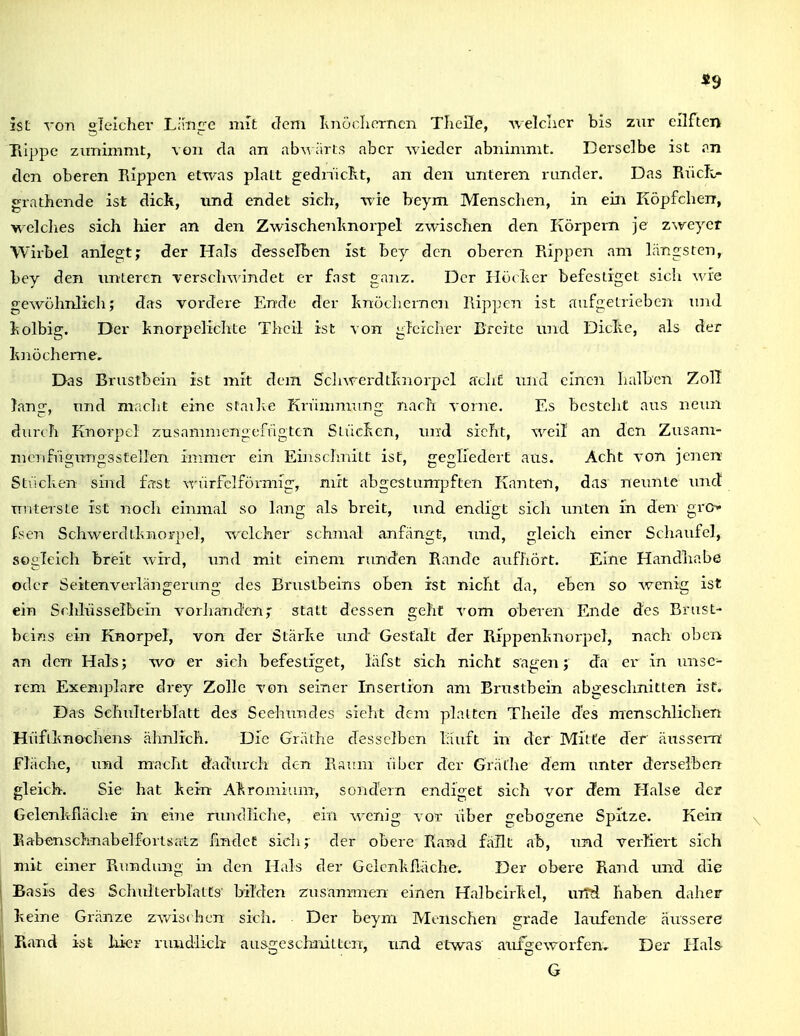ist von gleicher Llm^e nut Jcm luioolicrncn Tlieile, welclicr bis zur eOften l\ippc zunimmt, von da an abM iirts aber Aviecler abnimmt. Derselbe ist an den oberen Rippen etwas platt gednicTxt, an den unteren runder. Das RücTw- grathende ist dick, und endet sieh, wie beym Menschen, in ein Köpfcheir, wclclies sich hier an den Zwischenlmorpel zwischen den Körpern je zweycr Wirbel anlegt; der Hals desselben ist bcy den oberen Rippen am längsten, bey den unteren verscln^indet er fast ganz. Der Höclier befestiget sich wie gewöhnlieh; das vordere Ende der Ii7iöcliernen Rippen ist aufgelriebcn imd liolbig. Der Isnorpelichte Thcil ist von gleicher Breite und Dielte, als der knöcherne. Das Brustbein ist mit dem Scliwcrdtknorpol adiE und einen halben Zoll lang, und mricht eine sraihe Krümmung nach vorne. Es besteht aus neun durch Knorpel zusammengefügten Stücken, un'd sieht, weil an den Zusam- merifügungssCelleii inmicr ein Eijischnitt ist, gegliedert aus. Acht von jenen Stiicken sind frrst \T;'nrfclförmig, mit abgestumpften Kanten, das neunte \u\d unterste ist noch einmal so lang als breit, tmd endigt sich imten in den- gi'O fsen Schwerdtkjioi-pel, welcher schmal anfängt, mid, gleich einer Schaufel, sogleich breit wird, und mit einem runden Rande aufhört. Eine Handhabe oder Seitenverlängerimo; des Brustbeins oben ist nicht da, eben so wenic ist ein Schlüsselbein vorhancTen; statt dessen geht vom oberen Ende des Brust- beins ein Knorpel, von der Stärke und Gestalt der Rippenknorpel, nach oben an den Hals; wo er sich befestiget, läfst sich nicht sagen; da er in unse- rem Exemplare drey Zolle von seiner Insertion am Brustbein abgeschnitten ist. Das Schulterblatt des Seehimdes sieht dem platten Theile des menschlichen Hüfiknoehens- ähnlich. Die Gräthe desselben läuft in der Mitte der äussern fläche, und macht dadurch den Raum über der Gräthe dem unter derselben gleich. Sie hat kein Akromiiinr, sondern endiget sich vor dem Halse der Gelenkfläche in eine rundliche, ein wenig vor über £:ebogene Spitze. Kein EabenschnabelfortsaLz hndcE sich; der obere Rand fällt ab, und verliert sich mit einer Rundung in den Hals der Gelenkfläche, Der obere Rand und die j Basis des Schulterblatts bil'den ziisanmien einen Halbeirkel, uiTd haben daher j keine Gränze zv/is(hcn sich. Der beyni Menschen grade laufende äussere I; Rand ist hier rundlich ausgeschnitten, und etwas aufgeworfen. Der Hals