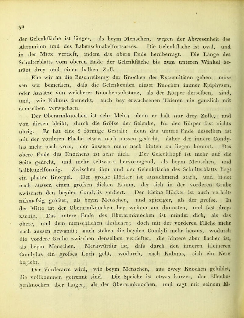 der Gelenlifläche ist läno;er, als be}Tn Menschen, -v^-egen der A1^^vesenI^elt des Al^romiiim und des Rabenschnabelfortsatzes. Die Gelenl. fläche ist oval, uiid in der Mitte vertieft, indem das obere Ende herüben-agt. Die Länge des Schulterblatts vom oberen Ende der Gelenkfläche bis zum unleren Winkel be- trägt drey und einen halben Zoll. Ehe wir an die Beschreibung der Knochen der Extremitäten gehen, nnis- sen wir bemerken, dafs die Gelenlienden dieser Knochen inuncr Epiphysen, oder Ansätze von weiclierer Knochens abstanz, als der Körper derselben, sind, und, wie Kulmus bemerkt, auch bey erwachsenen Tlüeren nie gänzlich mit demselben verwachsen. Der Oberarmknochen ist sehr klein; denn er hält nur drey Zolle, imd von diesen bleibt, durch die Gröfse der Gelenke, für den Körper fast nichts übi-i- Er hat eine S förmige Gestalt; denn das untere Ende desselben ist mit der vorderen Fläche etwas nach aussen gedreht, dalicr djr innere Condy- lus mehr nach vom, der äussere mehr nach hinten zu liegen kömmt. Das obere Ende des Knochens ist sehr dick- Der Gelcnldiopf ist mehr auf die Seite gedreht, imd mehr seitwärts hervorragend, als bcym INIcnscheri, und halbkugelförmig. Zwischen ihm und der Gelcnkfläche des Schulterblatts liogt ein platter Knorpel. Der grofse Höcker ist ausnelimend stark, und bildet nach aussen einen grofsen dicken Kamm, der sich in der vorderen Grube zwischen den beyden Condylis verliert. Der kleine Höcker ist auch vcrhält- nifsmäfsig gröfser, als beym Menschen, und spitziger, als der grofse. In der Mitte ist der Oberarmknochen bey weitem am dünnsten, und fast drey- zackig. Das untere Ende des Oberarmknochei\ ist minder dick, als das obere, imd dem menschlichen ähnlicher; doch mit der vorderen Fläche mehr nach aussen gewandt; auch stehen die beyden Condyli mehr heraus, wodurch die vordere Grube zwischen denselben vertiefter, die hintere aber flacher ist, als bcym Menschen. Merkwürdig ist, dafs durcli den inneren kleineren Condylus ein grofscs Loch geht, wodurch, nach Kuhuus, sich ein Nerv beliebt. Der Vorderarm wird, wie beym Menschen, aus zwey Knochen gebildet, die vollkommen getrennt sind. Die Speiche ist etwas kürzer, der Ellenbo- genknochen aber länger, als der Oberarmknochen, und ragt mit seinem El-