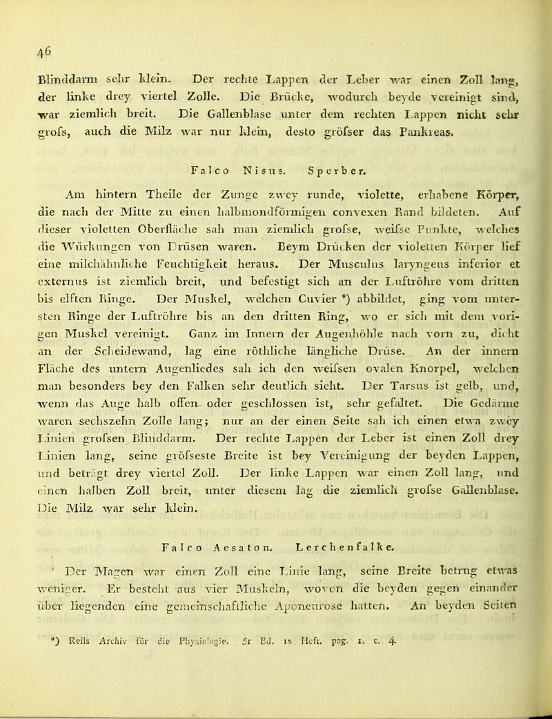 BlincMarm selir hlein. Der rechte Lappen der Leber v/ar einen Zoll lan^, der linke drey viertel Zolle. Die Brüdie, wodurch beyde veieiniot sind, war ziemlich breit. Die Gallenblase unter dem rechten Lappen nicht sthr grofs, auch die Milz Avar nur hlein, desto gröfser das Pankreas. Falco Nisus. Sperber, Am hintern Theile der Zunge zwey runde, violette, erhabene Körper, die nach der Mitte zu einen halbmondförmio:en convexen Rand bildeten. Auf dieser violetten Oberfläche sah man ziemlich grofse, weifse Pimlxte, welches die Wüvhungen von Drüsen waren. Eeym Drütlien der violeLten Körper lief eine milchähnliche FeuchtigTieit heraus. Der Miisculus laryngeus inferior et externus ist ziemlich breit, und befestigt sich an der Ltiftröhre vom dritten bis elften Ringe. Der Musitel, welchen Cuvier *) abbildet, ging vom imLer- sten Ringe der Luftröhre bis an den dritten Ring, wo er sich mit dem vori- gen Musliel vereinigt. Ganz im Innern der Augenhöhle nach vorn zu, diiht an der Scheidewand, lag eine röthliche längliche Drüse. An der innern Fläche des untern Augenliedes sah ich den weifsen ovalen Knorpel, welchen man besonders bey den Fällten sehr deutlich sieht. Der Tarsus ist gelb, und, wenn das Auge halb offen oder geschlossen ist, sehr gefaltet. Die Gedärme waren sechszehn Zolle lang; nur an der einen Seile sah ich einen etwa zwcy Linien grofsen Blinddarm. Der rechte Lappen der Leber ist einen Zoll drey Linien lang, seine gröfseste Breite ist bey Vercinijiung der beyden Lappen, UTid betri'gt drey viertel Zoll. Der linke Lappen war einen Zoll lang, und einen halben Zoll breit, unter diesem lag die ziemlich grofse Gallenblase» T3ie Milz war sehr Idein. Falco Aesaton, LerchenfalTie. ■ Der Magen war einen Zoll eine iJnie lang, seine Breite betrug etwas weniger. Er besteht aus vier Miislieln, wo-^ cn die beyden gegen einander über liegenden eine gcracinscliafiliclic Aponeurose hatten. An beyden Seiten