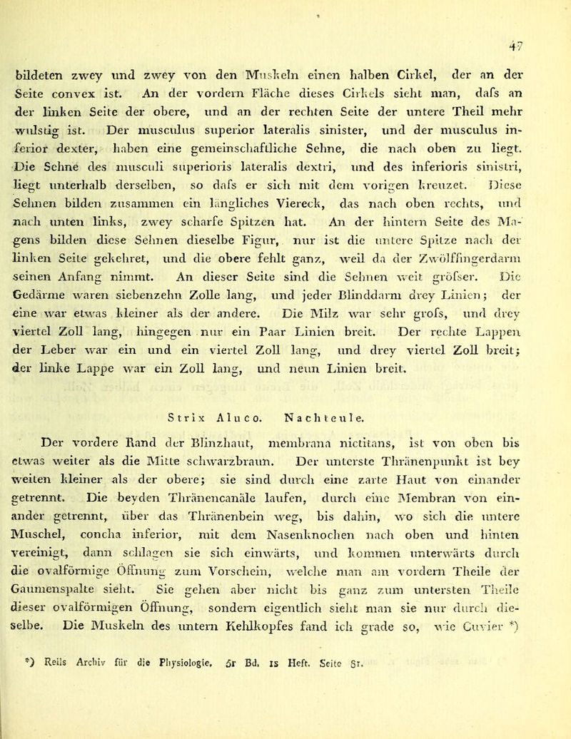 bildeten zwey und zwey von den Miisl^eln einen halben Cirltcl, der an der Seite convex ist. An der vordem Fläche dieses Cirliels sieht man, dafs an der linken Seite der obere, und an der rechten Seite der untere Theil mehr wvdstig ist. Der musculus superior lateralis sinister, und der musculus in- ferior dexter, haben eine gemeinschaftliche Sehne, die nach oben zu liegt. Die Sehne des musculi superioris lateralis dextri, und des inferioris sinistri, liegt xmterhalb derselben, so dafs er sich mit dem vorigen hreuzet. IDicse Sehnen bilden zusammen ein längliches Viereck, das nach oben rechts, und nach unten links, zwey scharfe Spitzen hat. An der hintern Seite des Ma- gens bilden diese Sehnen dieselbe Figur, nur ist die ui^tcrc Spitze nach der linken Seite gekehret, vmd die obere fehlt ganz, weil da der Zwölffingerdarm seinen Anfang nimmt. An dieser Seite sind die Sehnen weit grofser. Die Gedärme waren siebenzehn ZoUe lang, und jeder Blinddarm drey Linien; der eine war etwas kleiner als der andere. Die Milz war sehr grofs, und drey viertel ZoU lang, hingegen nur ein Paar Linien breit. Der rechte Lappen der Leber war ein und ein viertel Zoll lang, und drey viertel Zoll breit; der linke Lappe war ein Zoll lang, und neun Linien breit. Strix Aluco. Nachteule. Der vordere Piand der Blinzhaut, membrana nictitans, ist von oben bis etwas weiter als die Mitte schwarzbraun. Der imterste Thränenpunkt ist bey weiten kleiner als der obere; sie sind durch eine zarte Haut von einander getrennt. Die beyden Thranencanale laufen, durch eine Blembran von ein- ander getrennt, über das Thränenbein weg, bis daliin, wo sich die untere Muschel, concha inferior, mit dem Nasenknochen nach oben und hinten vereinigt, dann schlagen sie sich einwärts, und kommen unterwärts durch die ovalförmige Öffnung zum Vorschein, welche man am vordem Theile der Gaumenspalte sieht. Sie gehen aber nicht bis ganz zum untersten Theile dieser ovalförmigen Öffnung, sondern eigentlich sieht man sie nur durcli die- selbe. Die Muskeln des imtern Kelxlkopfes fand ich grade so, wie Guvier *)