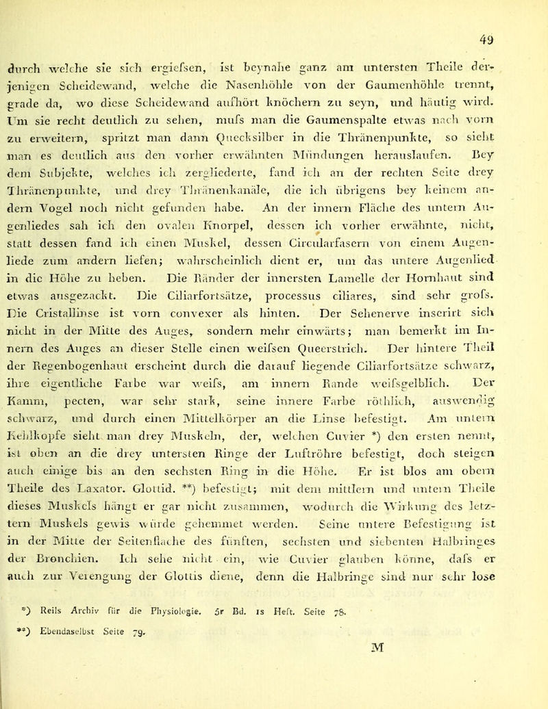 durch welche sie sich ergiefsen, ist hcynnhe ganz am untersten Theile der- jenigen Scheidewand, welche die Nasenhöhle von der Gaumenhöhle trennt, grade da, wo diese Sclieidewand aufhört hnöchern zu seyn, und häutig wird. Um sie recht deutlich zu sehen, mufs man die Gaumenspalte etwas nach vorn zu erweitern, spritzt man dann Qucclisilher in die Thränenpunlite, so sieht man es deutlich aus den vorher erwähnten Mündungen herauslaufen. Bey dem Subjehte, welclics ich zergliederte, fand ich an der rechten Seite drey Thränenp (uil.te, imd drey Tltränenhanäle, die ich übrigens bey heinem an- dern Vogel noch nicht gefiinden habe. An der innern Fläche des imtem Au^ genliedes sah ich den ovalen Knorpel, dessen ich vorher erwähnte, nicht, statt dessen fand ich einen Mushel, dessen Circularfasern von einem Augcn- liede ziun andern liefen; wahrsclicinlich dient er, um das initere Augenlied in die Höhe zu heben. Die Ränder der innersten Lamelle der Hornhaut sind etwas aTisgezacht. Die Ciliarfortsätze, processus ciliares, sind sehr grofs. Die Cristallinse ist vorn convexer als hinten. Der Sehenerve inserirt sich nicht in der Mitte des Auges, sondern mehr einwärts; man bemerlit im In- nern des Auges an dieser Stelle einen weifsen Queerstrich. Der hintere Theil der Regenbogenhaut erscheint durch die darauf liegende Ciliarfortsätze schwarz, ihre eigentliche Faibe war weifs, am innern Rande weifsgelblich. Der Kamm, pecten, war sehr starTt, seine innere Farhe röihlich, auswendig schwarz, und durch einen Mittelkörper an die Linse I^efestigt. Am imLem Kehlkopfe sieht man drey Mu.skeln, der, welchen Cvivier *) den ersten nennt, ist oben an die drey untersten Ringe der Luftröhre befestigt, doch steigen auch einige bis an den sechsten Ring in die Hölie. Er ist blos am obein Theile des Laxator. Gloitid. **) befestigt; mit dem mittlem und untern Theile dieses Muskels hängt er gar nicht ziisammen, wodurch die ^Virl^ung des letz- tern Muskels gewis winde gehemmet werden. Seine untere Befestigung ist in der Milte der Seitenfläche des fünften, sechsten und siehenten Halbiingcs der Bronchien. Ich sehe nit iit ein, wie Cu\ ier glauben könne, dafs er auth zur Verengung der Glottis diene, denn die Halbringe sind nur sehr lose *) Reils Archiv für die Physiologie. 5f Bd. is Heft Seite 78. **} Ebendaselbst Seite 79, M