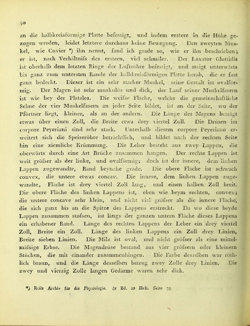 an die halblireisfömiige Platte befesLiirt, und iuHem erstcrc in die Hölic £e- zogen werden, leidet letztere durchaus Ixcine Bewegimg. Den zweyien jVius- liel, wie Cu'vier *) ihn nennt, fand ich grade so, wie er ihn beschrieben; er ist, nach Verhältnifs des erstem, viel schmaler. Der Daxator Glottidis ist oberhalb dem letzten Ringe der Luftröhre befesiigt, und steigt unterwärts bis ganz zum untersten Rande der halblaeisfürmigen Platte herab, die er fast ganz bedecht. Dieser ist ein sehr starlier Musl>el, seine GesLalt ist ovalför- mig. Der Magen ist sehr musltulös und dick, der Lauf seiner IMushelfasern ist wie bey der Platalea. Die Aveifse Fläche, welche die gemeinschaftliche Sehne der vier Muskelfasern an jeder Seite bildet, ist an der Seite, wo der Pförtner liegt, Isleiner, als an der andern. Die Länge des IVIagens beträgt etwas über einen Zoll, die Breite etwa drey ^iertel Zoll. Die Drüsen im coi'pore Peyeriani sind sehr stark. Unterhalb diesem corpore Peyeriano er- weitert sich die Speiseröhre beträchtlich, und bildet nach der recluen Seite hin eine ziemliche Krümmung. Die Leber besteht aus zwey Lappen, die oberAvärts durch eine Art Brücke zusammen hangen. Der rechte Lappen ist weit gröfser als der linke, und ovalförmig; doch ist der innere, dem linken Lappen zugewandte, Rand beynahe grade. Die obere Fläclie ist schwach convex, die untere etwas concav. Die ijinere, dem linlxcn Lappen zuge- wandte, Fläche ist drey viertel Zoll lang, imd einen halben Zoll breit. Die obere Fläche des linken Lappens ist, eben wie beym recliten, convex; die untere concave sehr klein, und nicht viel gröfser als die innci-e Fläclie, die sich ganz bis an die Spitze des La])pens erstreckt. Da wo diese beyde Lappen zusammen stofsen, ist längs der ganzen untern Fläche dieses Lappens ein erhabener Rand. Lange des rechten Lappens der Leber ein drey viertel Zoll, Breite ein Zoll. Länge des linken Lappens ein Zoll drey Linien, Breite sieben Linien. Die Milz ist oval, und niclit gröfser als eine, mittel- jnäfsige Erbse. Die Magendrüse bestand aus vier gröfsern oder kleinern Stücken, die mit einander zusammenliingcn. Die Fa'.be desselben war röth- lich braun, und die Länge desselben betrug zvrey Zolle drey Linien, Die zwey imd vierzig ZüUe langen Gedärme waren sehr dick.